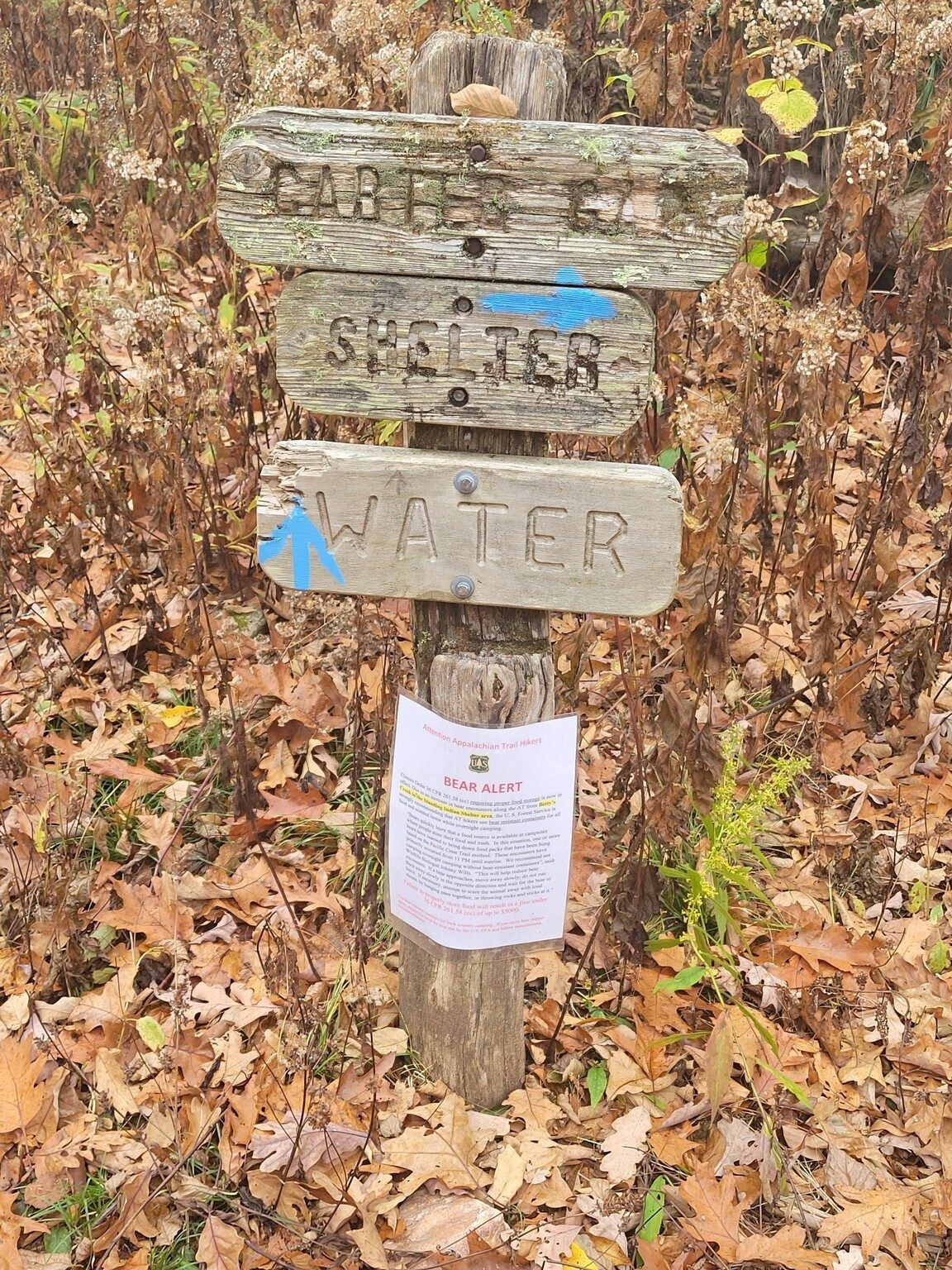 We then proceeded on to the Carter Gap Shelter for lunch where we met a couple from Jacksonville, FL.
