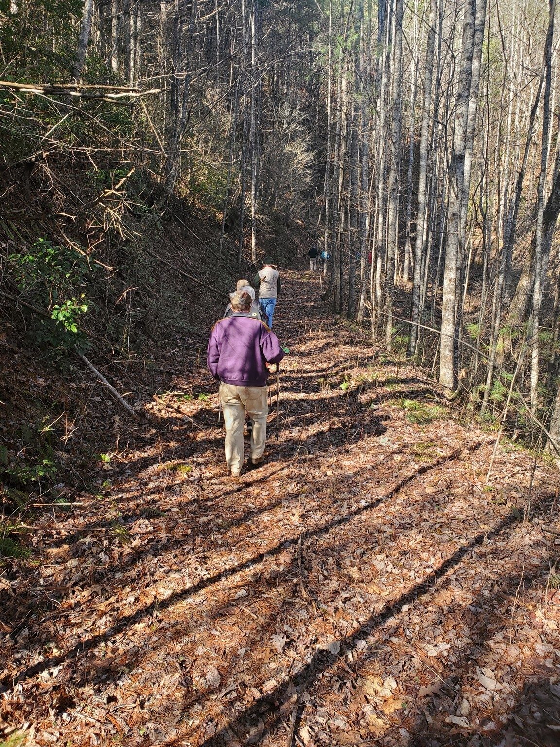 Later on transitioning to an old logging road.