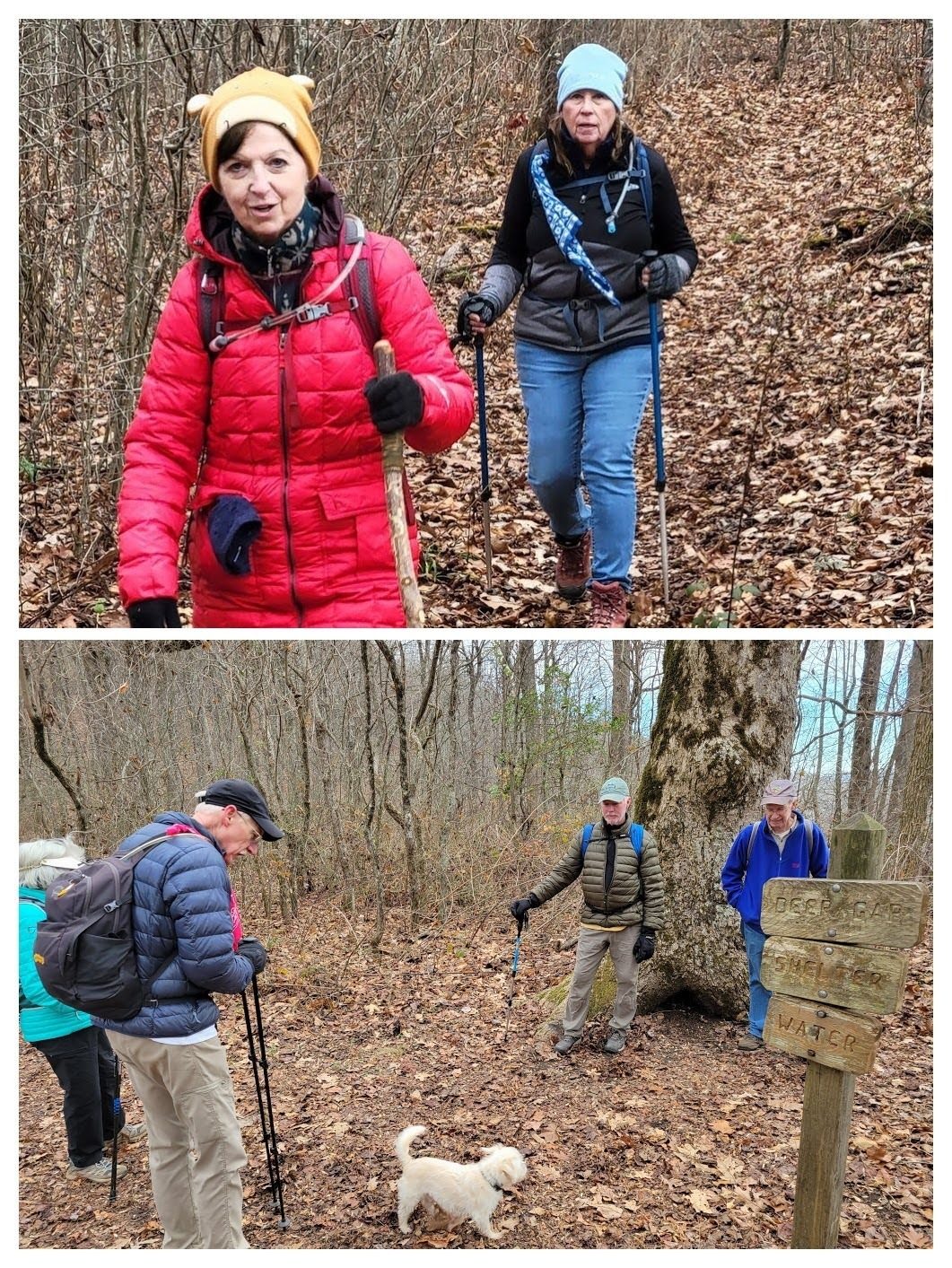 At the turnoff to Deep Gap Shelter.