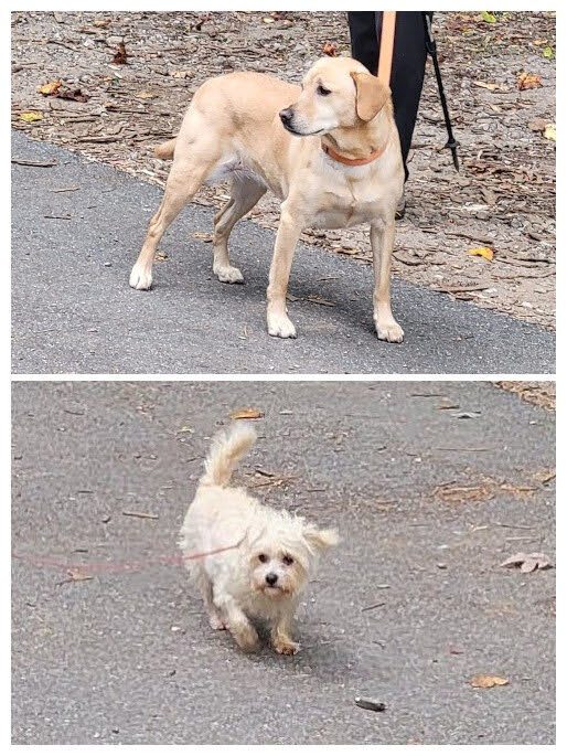 Squirt and Cutie Pie are anxious to get started.