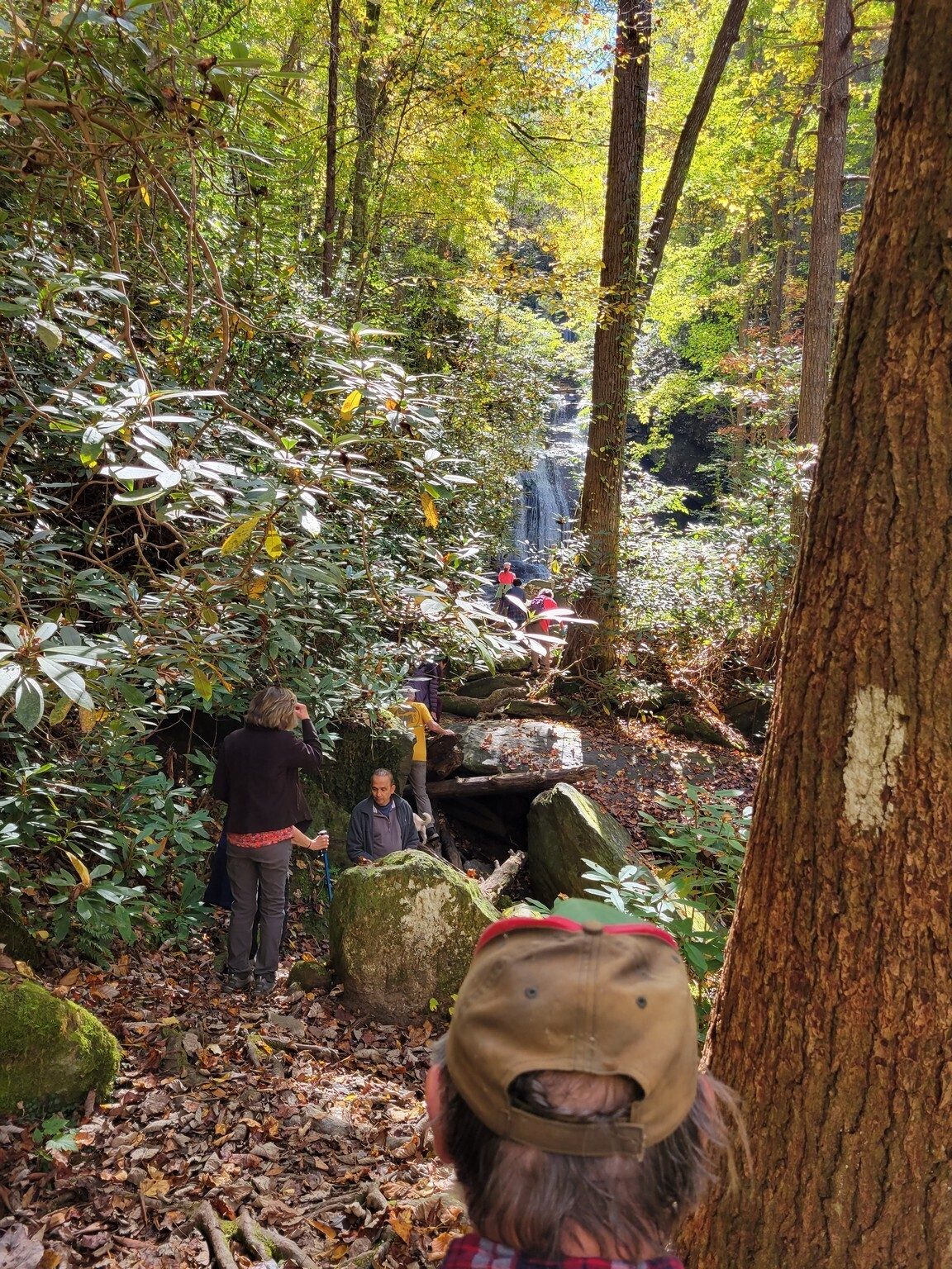 Gotta do some rock hopping to get close to Opossum Creek Falls in the background.