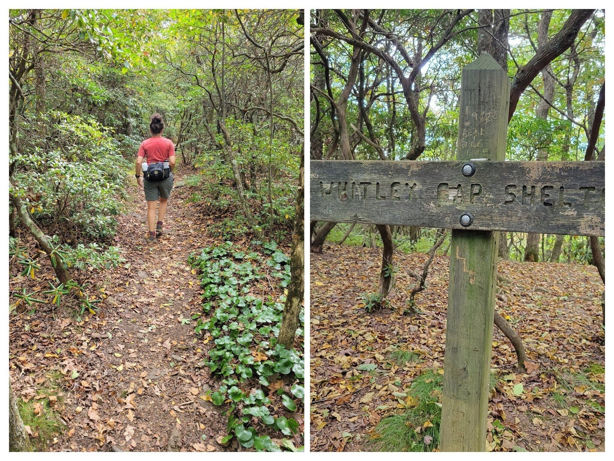 Heather leading me along the Whatley Gap Shelter Trail to more great views.