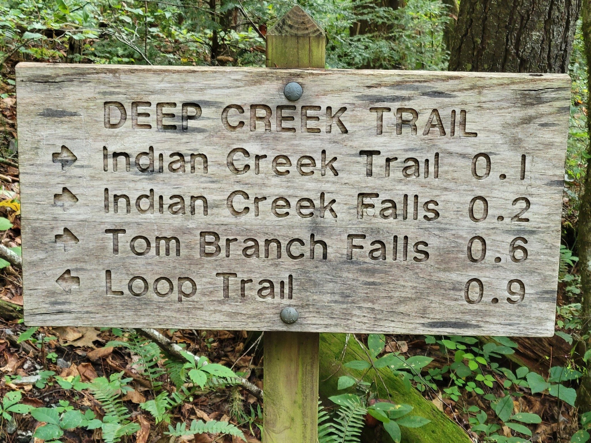 Nice trail signs throughout the park.