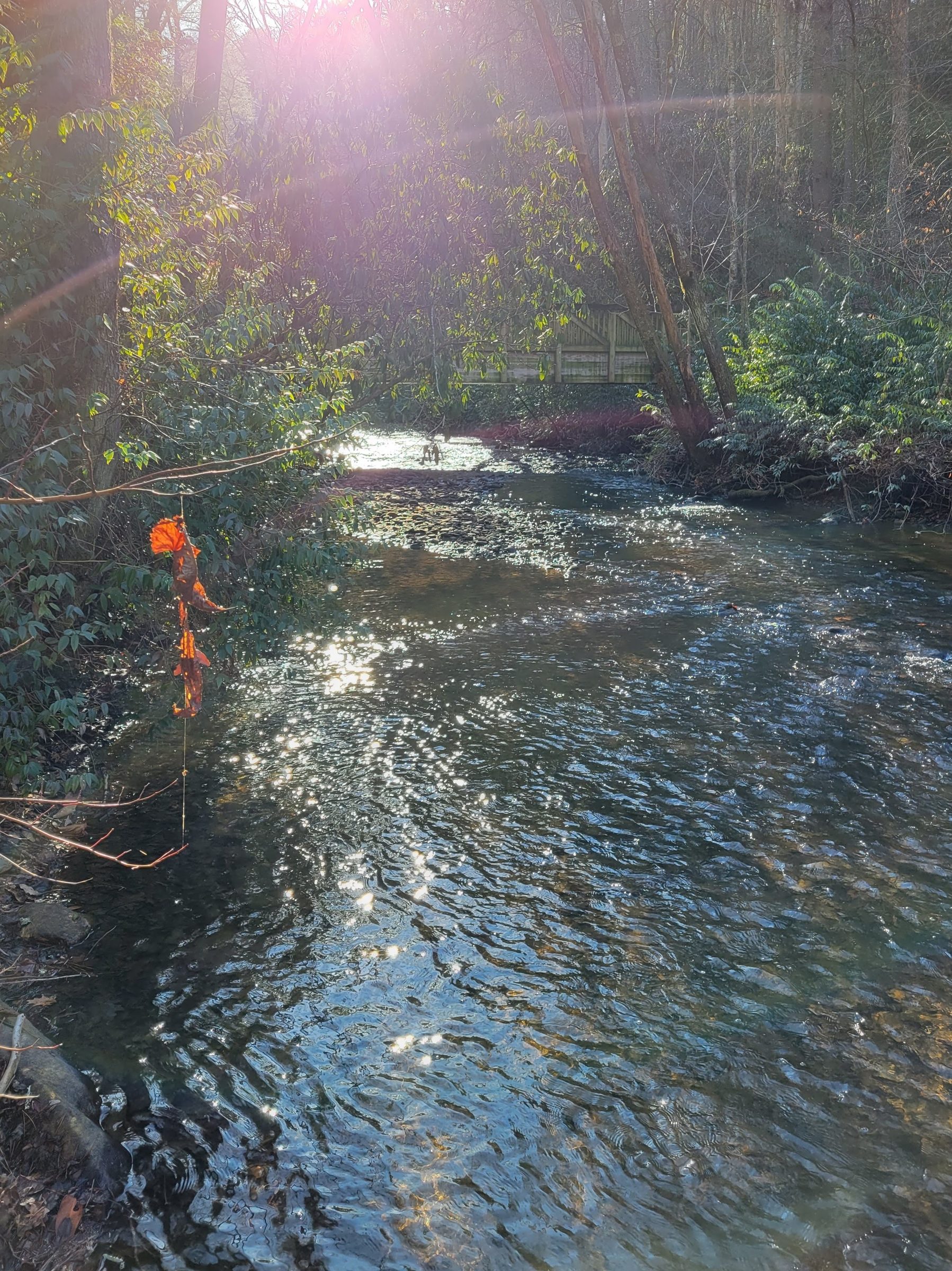 Another early morning view of Smith Creek at a bridge crossing.