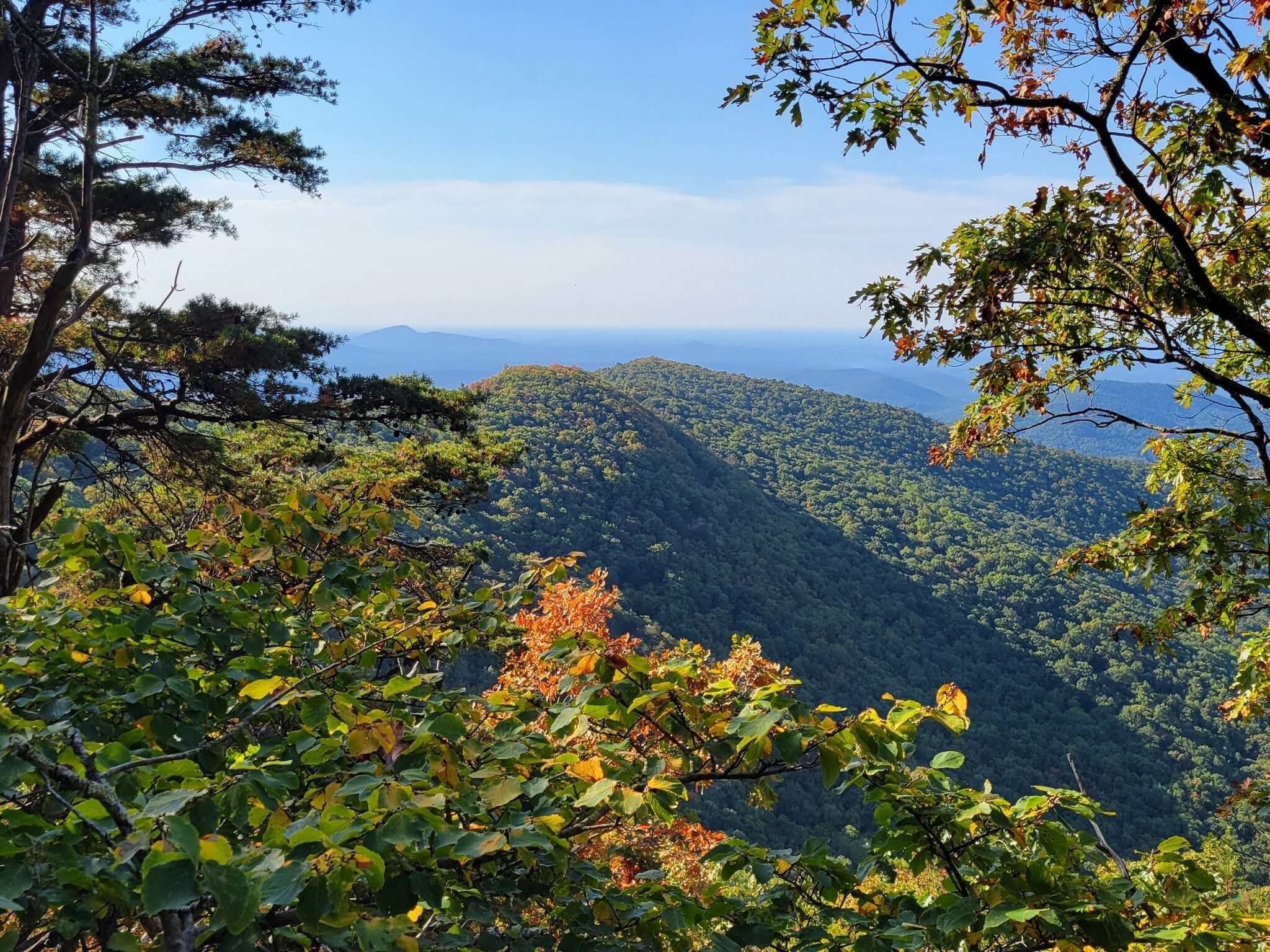 Another view of Cowrock Mtn. as we head over to Wolf Laurel Top.