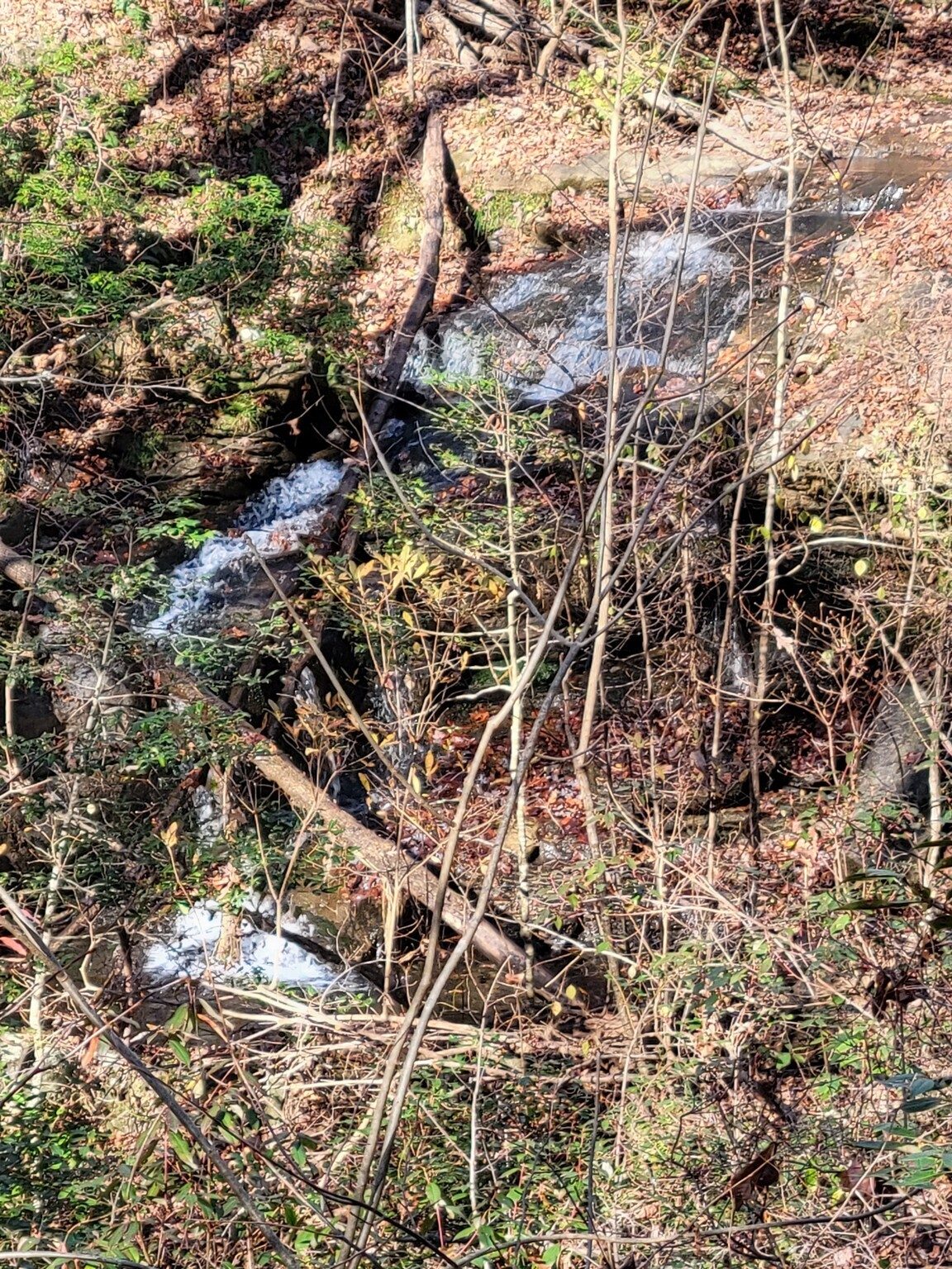 This is Trailside Falls.  We didn't see a safe way to the base of it.