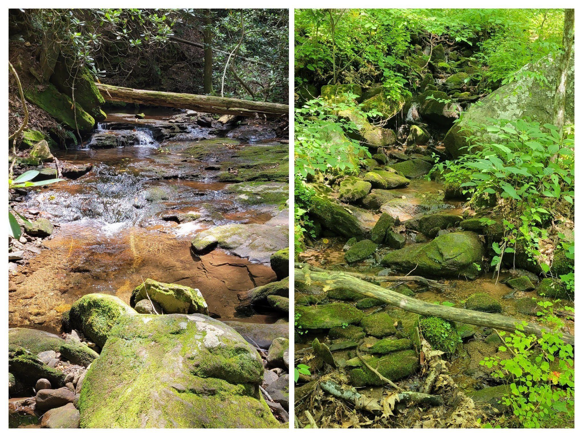 Some nice sounds from Pigeon Roost Creek and its tributaries.