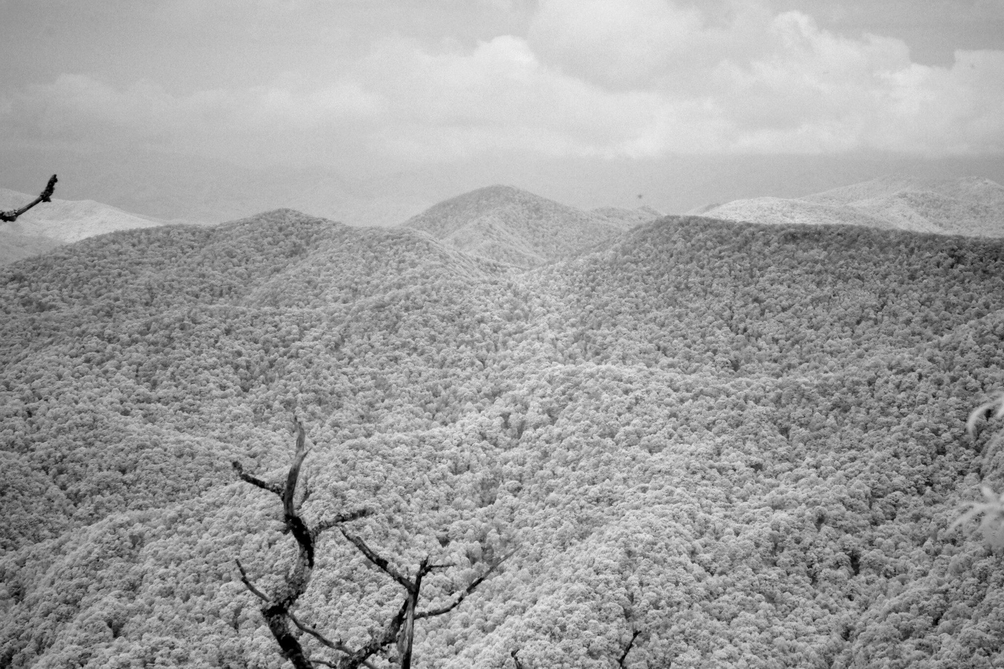 But hey, Rich's  camera can see through the clouds with it's infrared capability.  Neat!