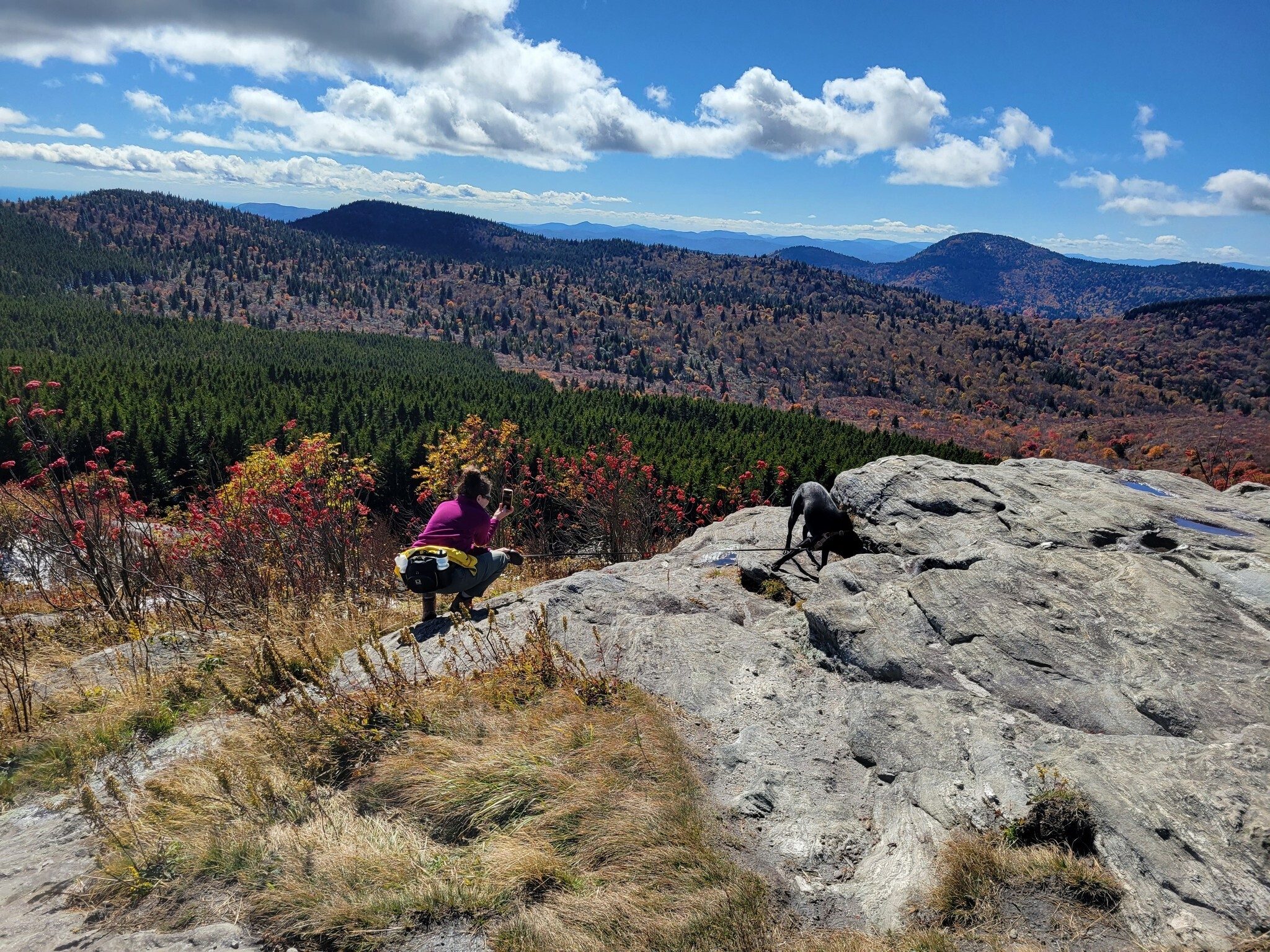 Heather taking some final pics as we hike down Black Balsam.