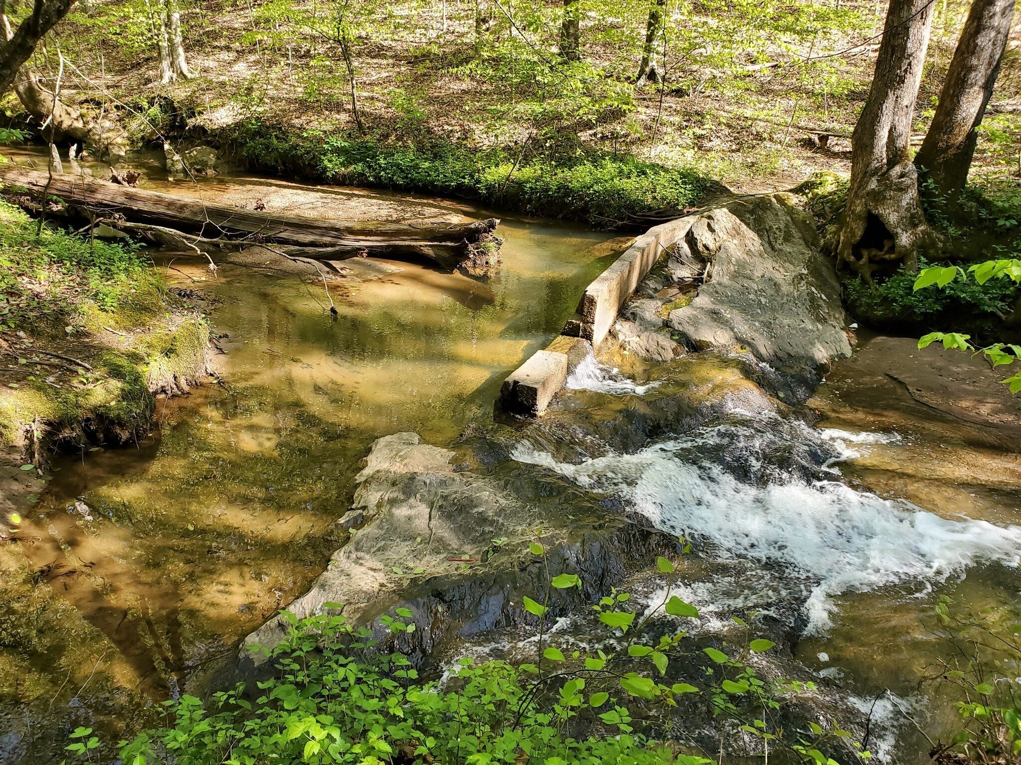 A old, now breached, dam on that same tributary to Walnut Creek.