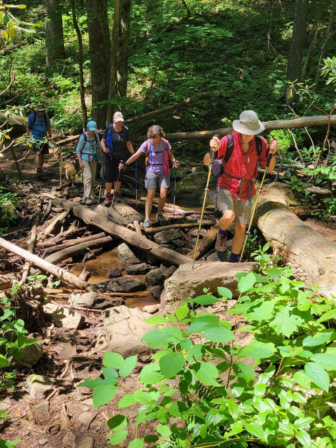 Charles Hawkins leading the way across this rocky wet crossing.