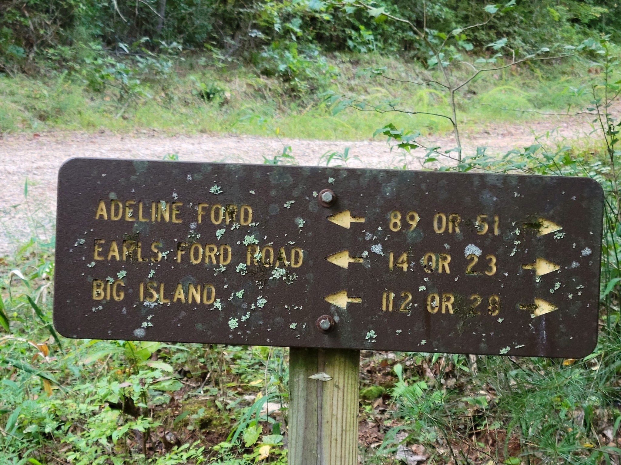 Surprisingly nice signs at major trail intersections.