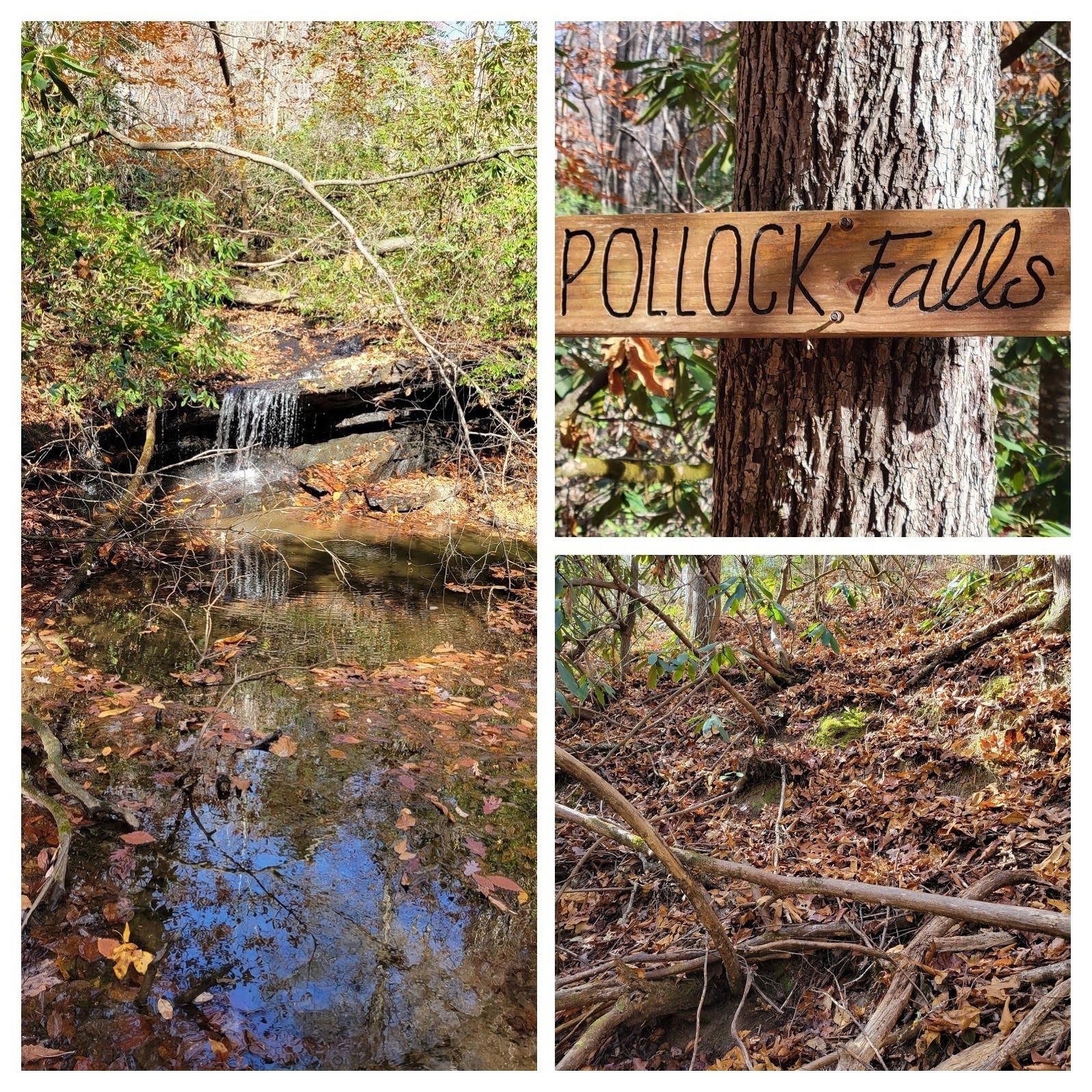 On our way back on the Palmetto Trail we pass the small, frequently overlooked Pollock Falls requiring quite a scramble down a hill to see.