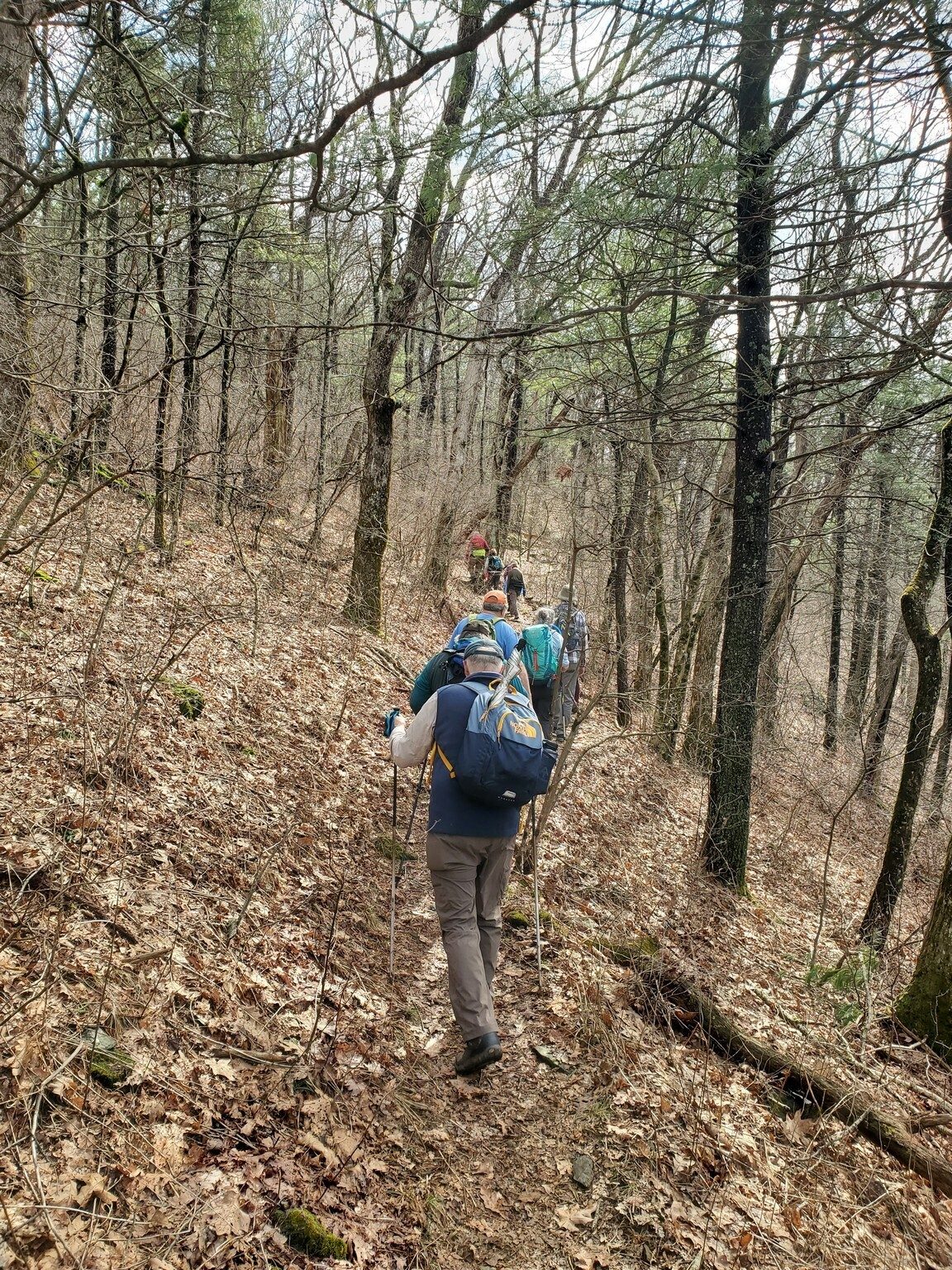 Headed up the Duncan Ridge Trail toward the AT.