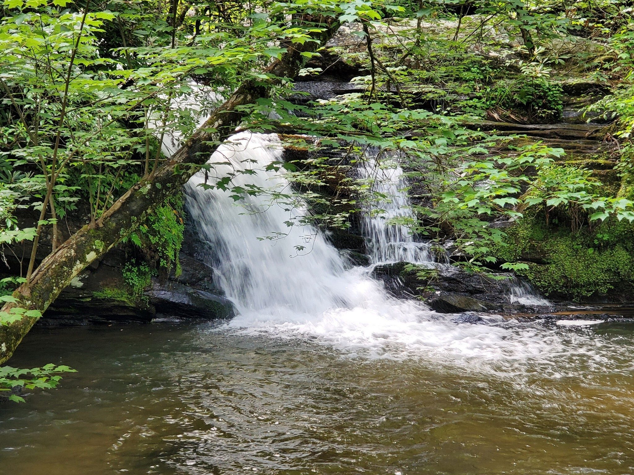 Pigpen Falls is always pleasant to see and hear.