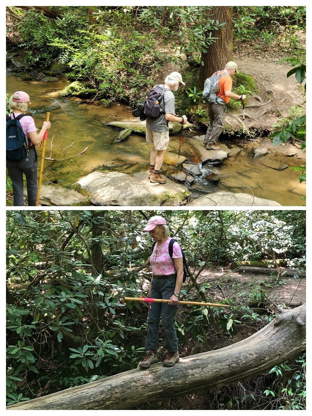 Gotta recross the same creeks on the way back.  Beth made it safely across this one, but what about the next one Beth?