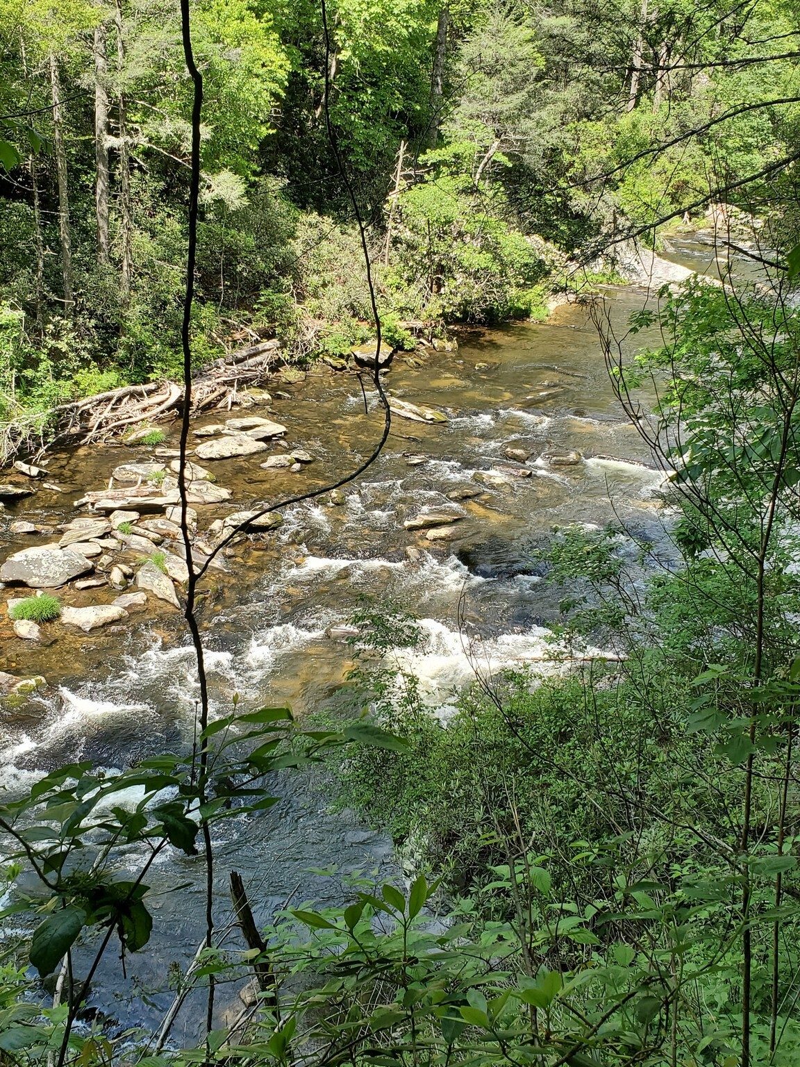We finally began to catch a glimpse of the Chattooga River after being teased by its sound for a mile or so.