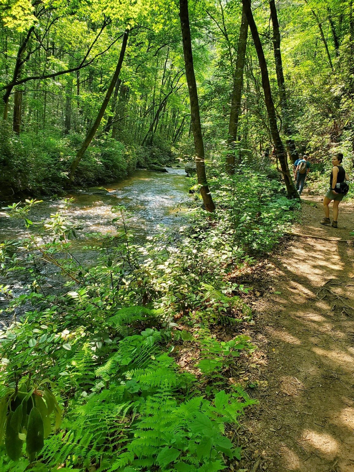 Panther Creek or its tributary is always near by.