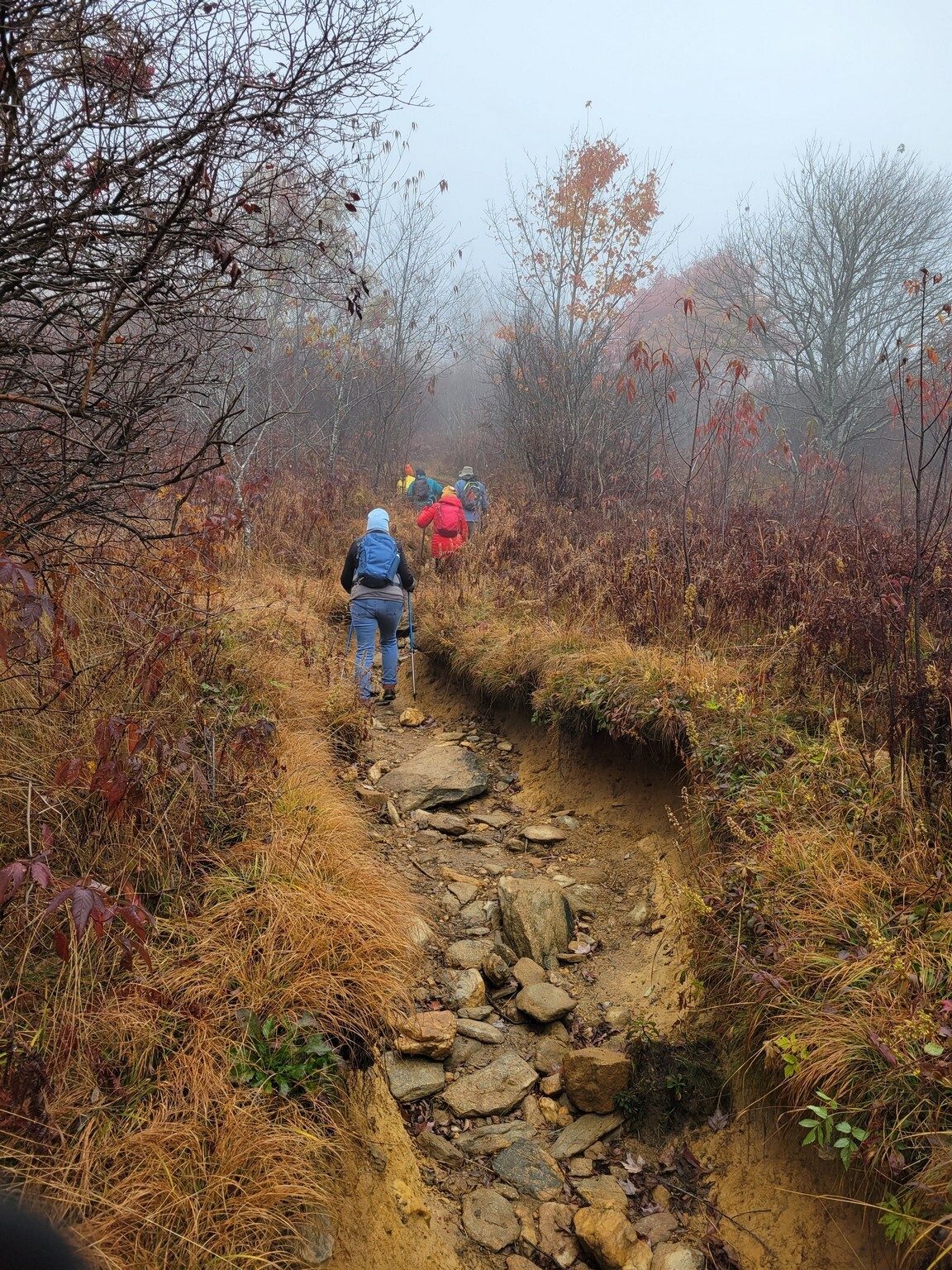 A less than great section of the trail on the way to Sam Knob.