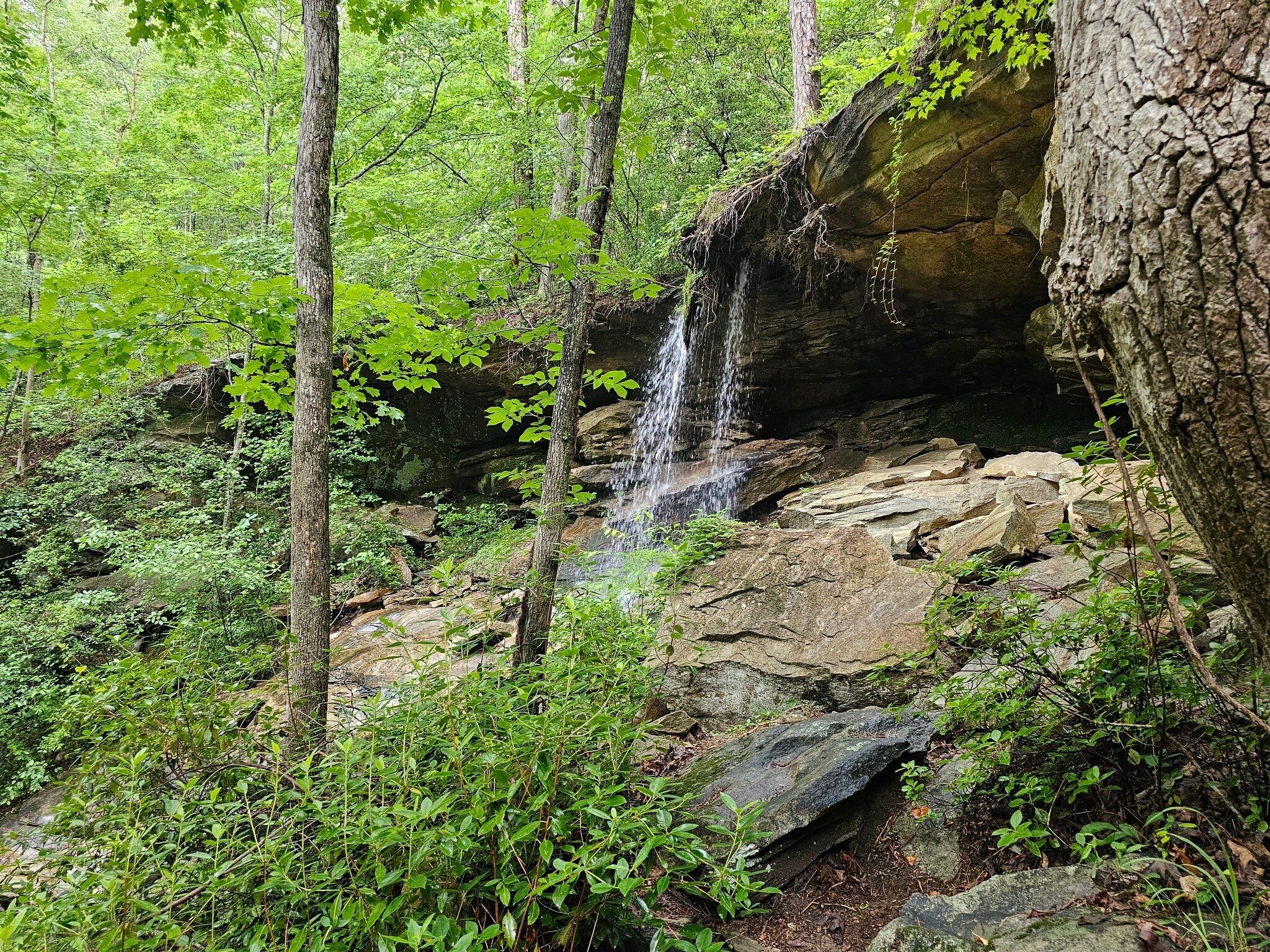 A last look at Contentment Falls and Cave as we leave.