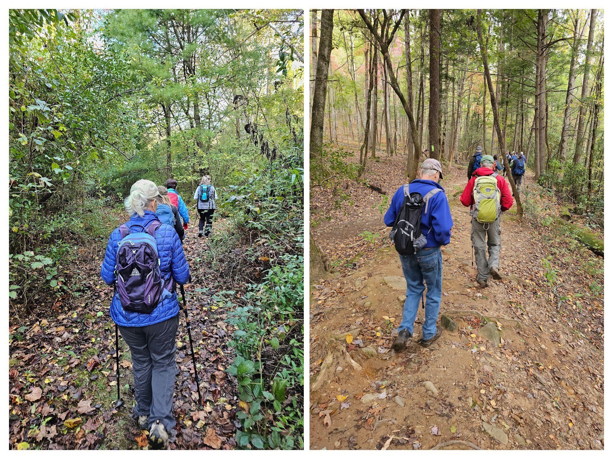 Typical trail conditions.  Moccasin Creek Wildlife Trails on the left; Hemlock Falls Trail on the right.