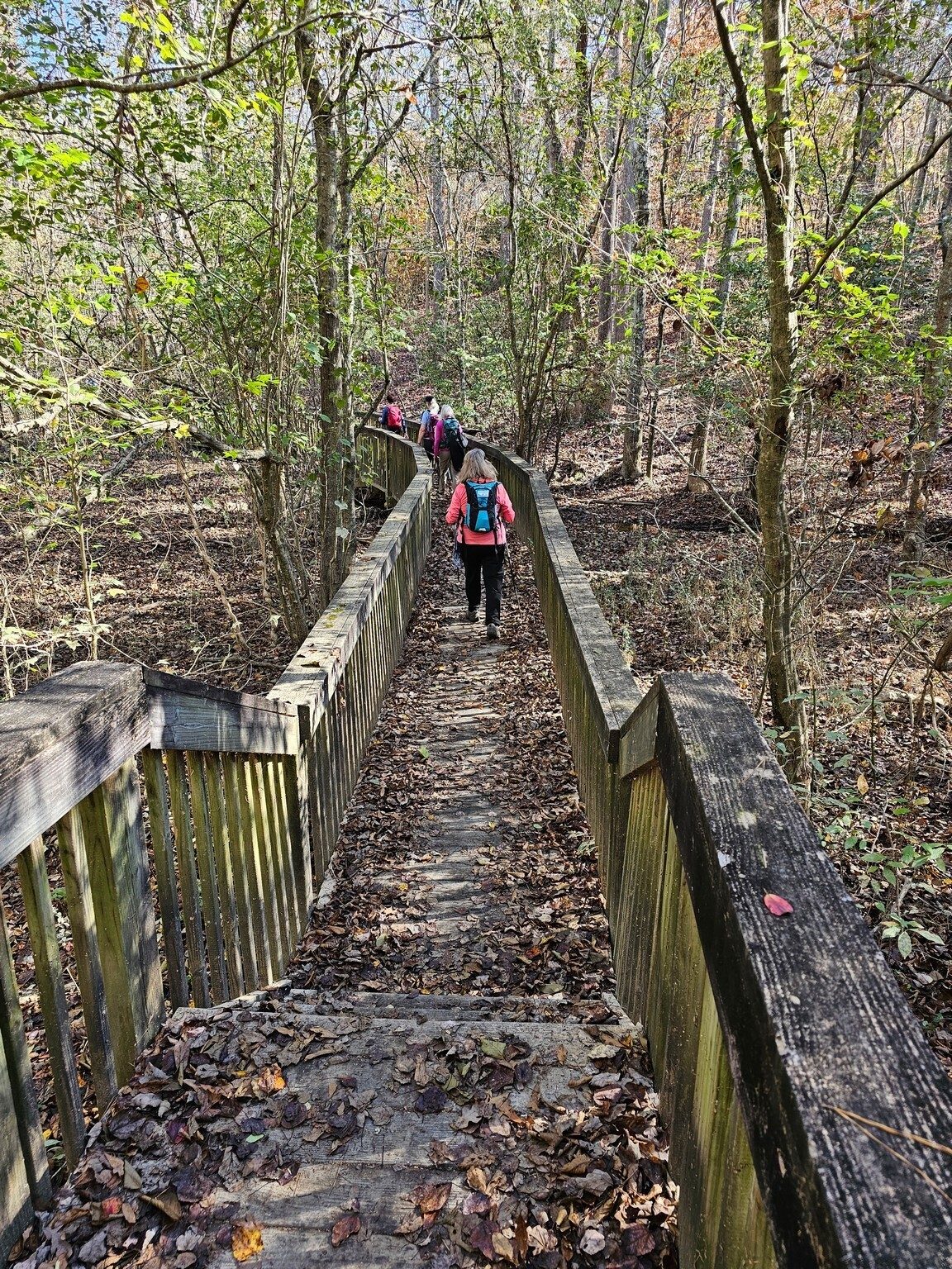 A nice boardwalk on the Lake Loop section of the hike.