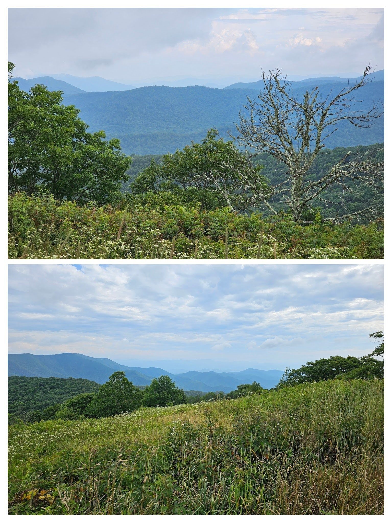 Some of the great views from Siler Bald.