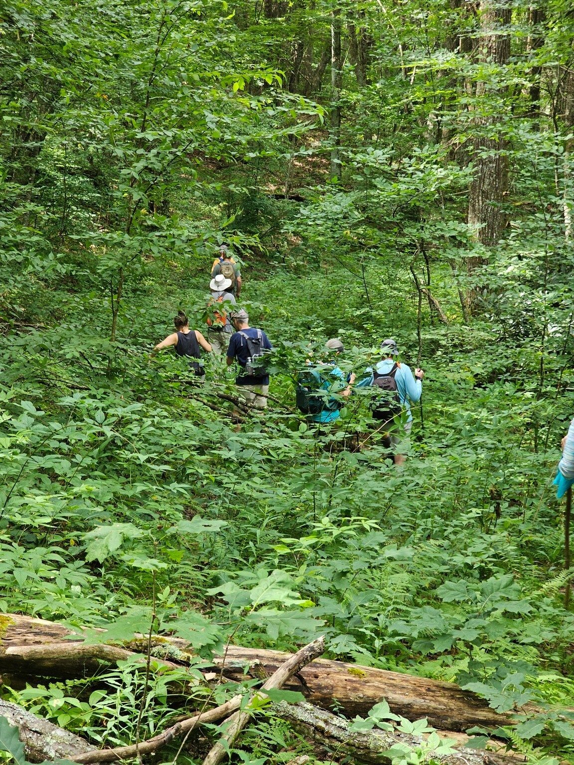 Mike, are you sure this is the Yellow Patch Trail?