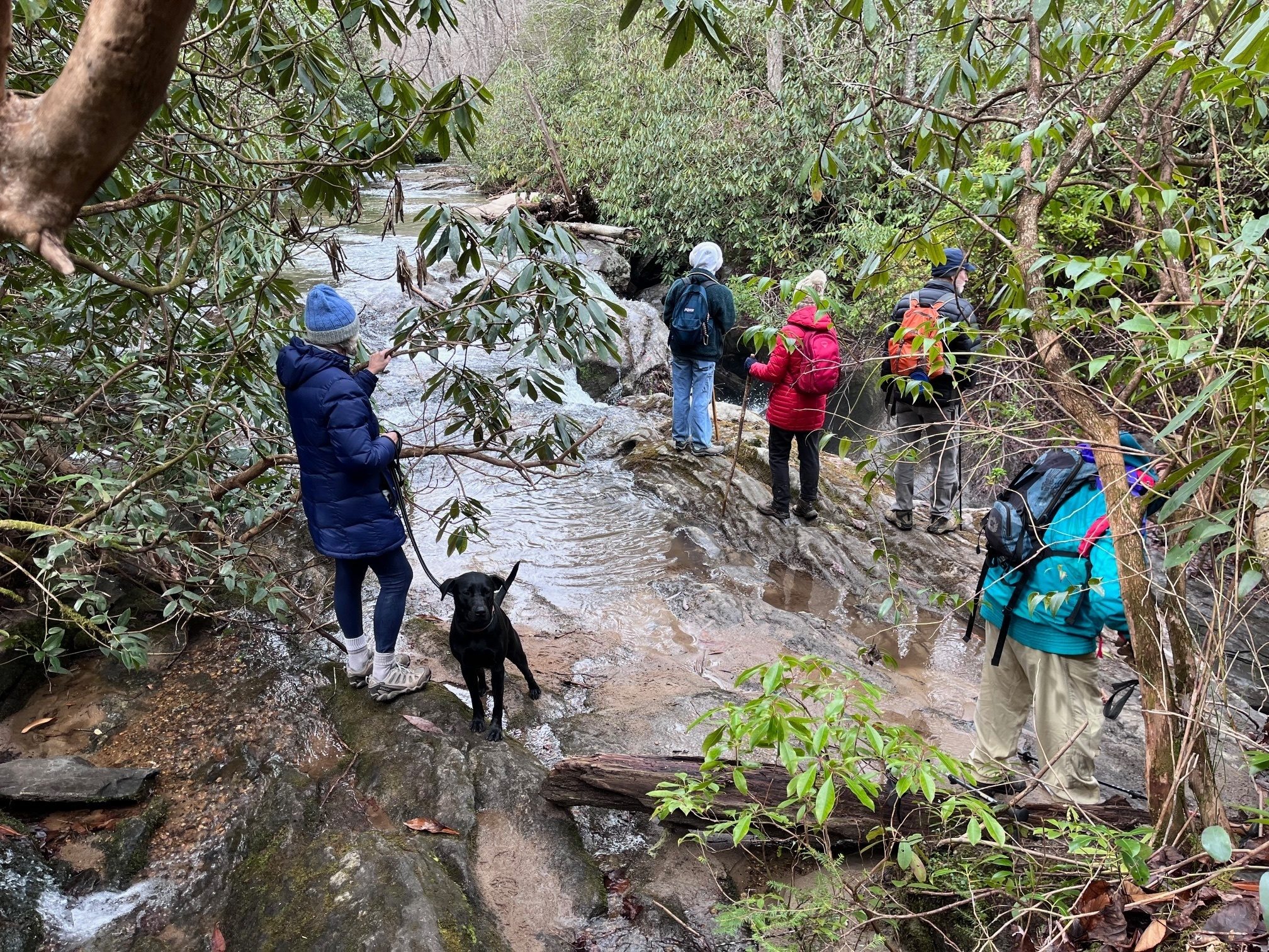 At the boulders overlooking Holden Creek at First Falls.  Be careful!