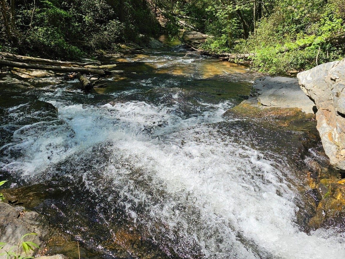 Looking downstream on Dick's Creek at our lunch spot at High Shoals..