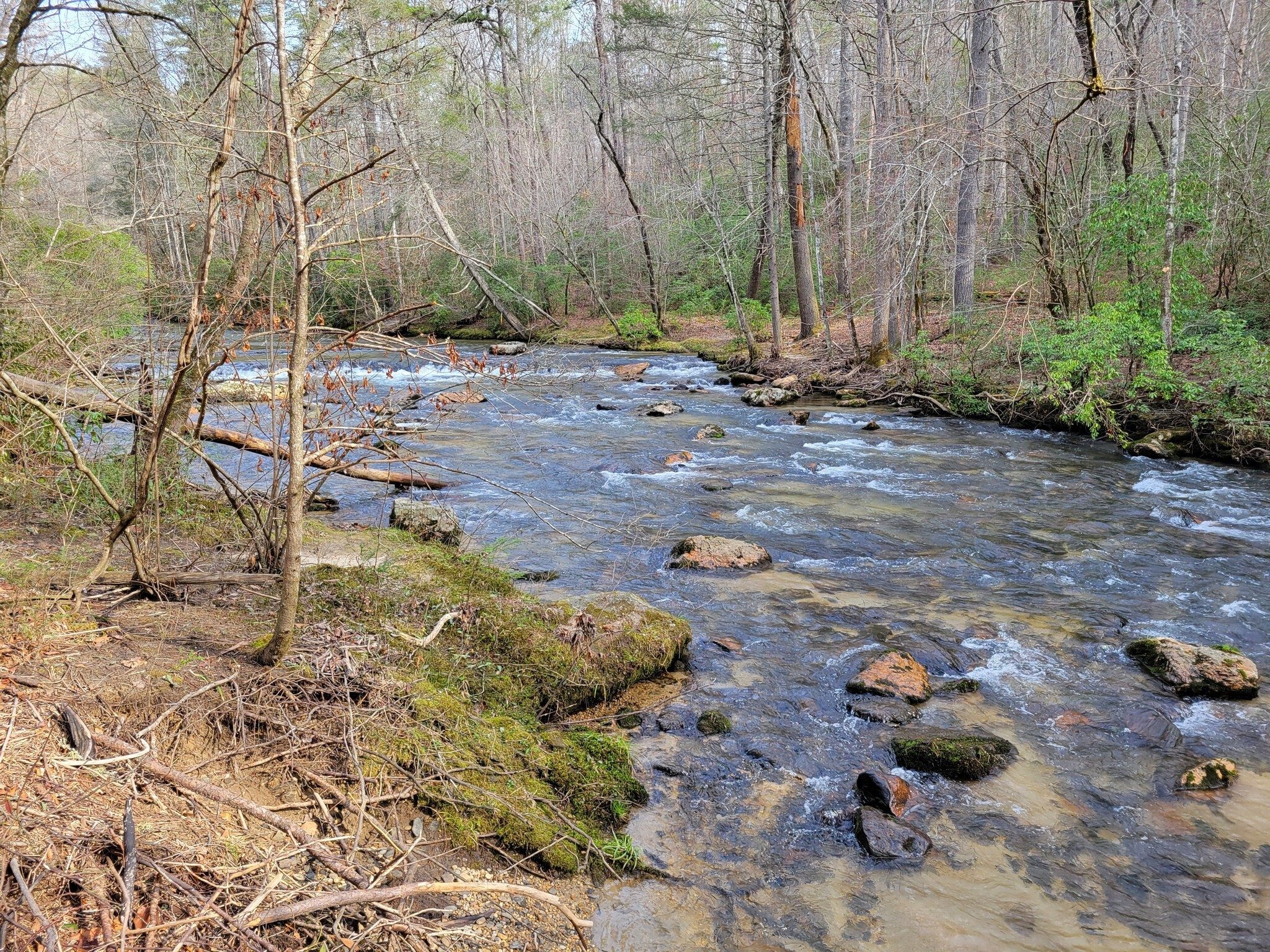 Eastatoe Creek between the two bridges.