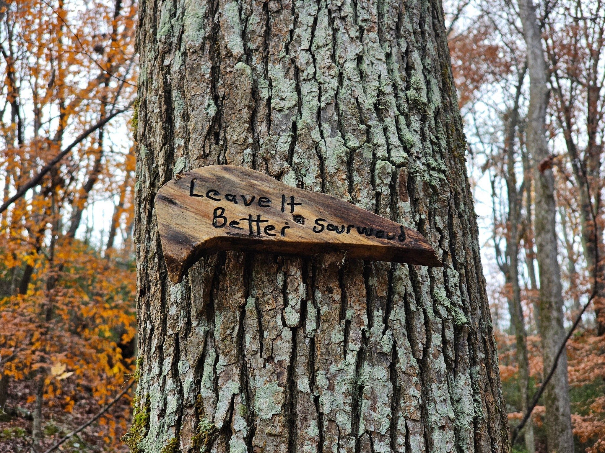 A thoughtful reminder.