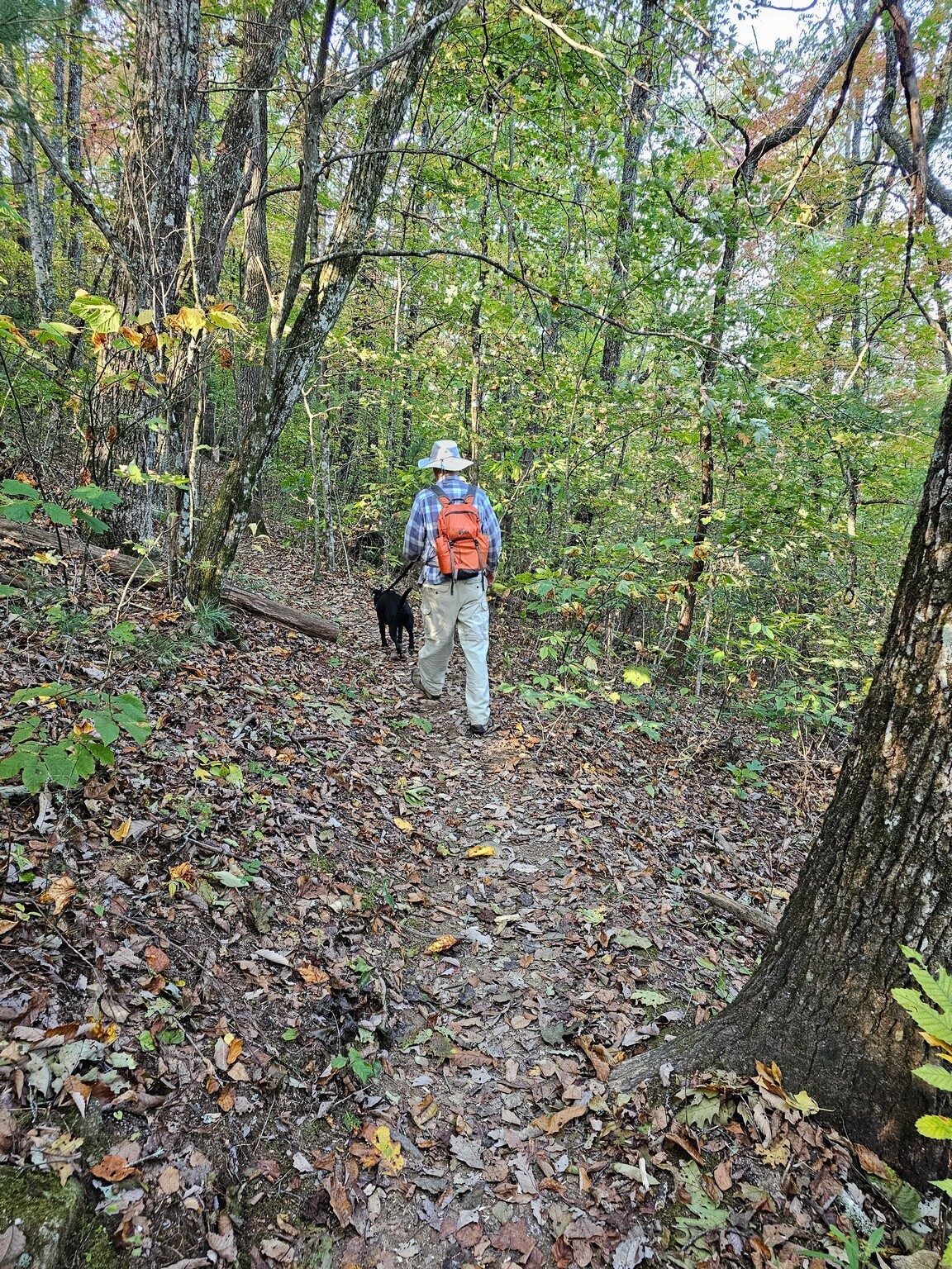 The Springhouse Trail looks pretty good otherwise.   Angela, did you say, "Not so.  Ouch!  My knee . . .that hurts!"