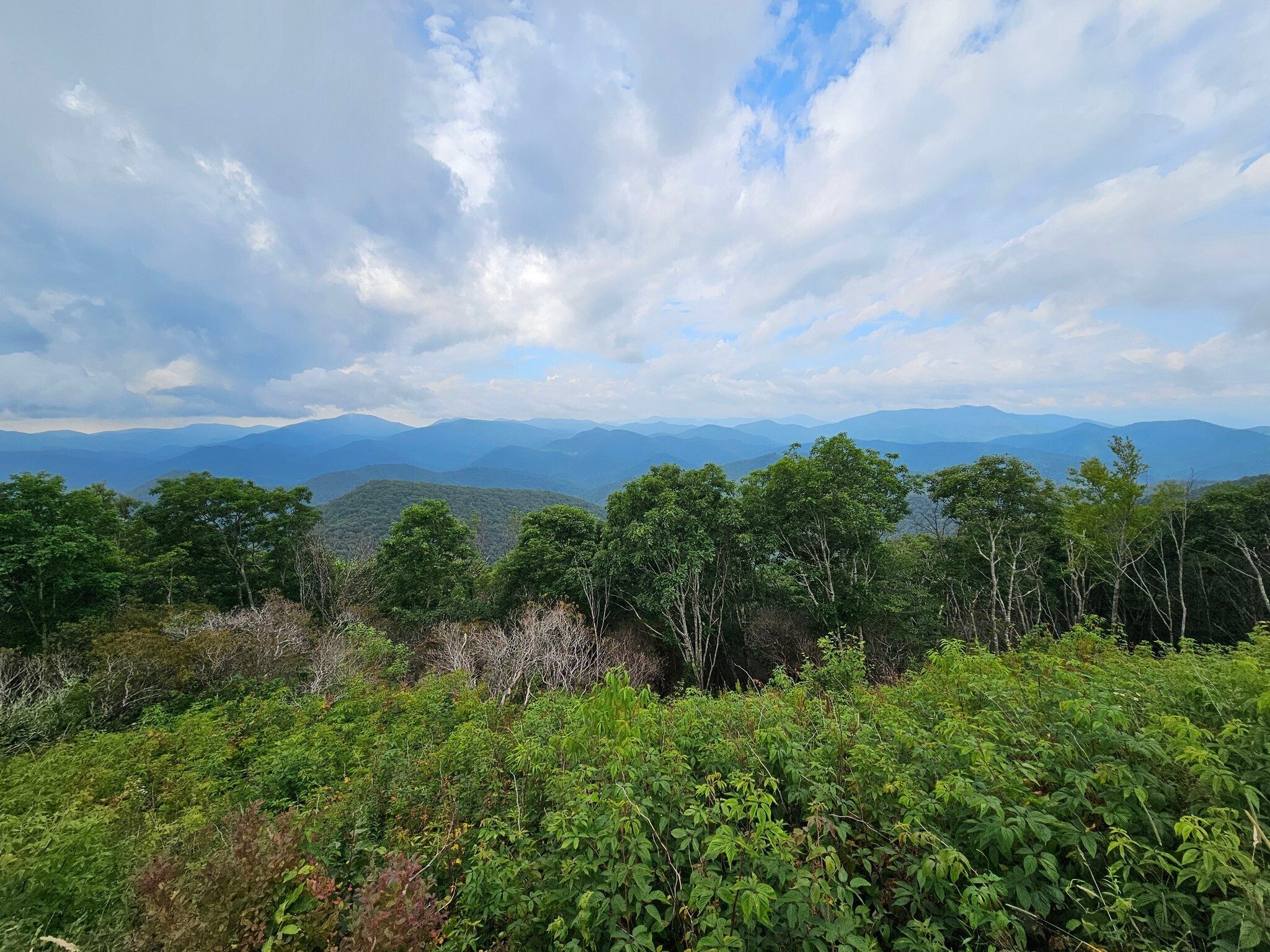 Another view from Siler Bald, a favorite hike of Dr. David Whitaker, who hiked with this group for many years.