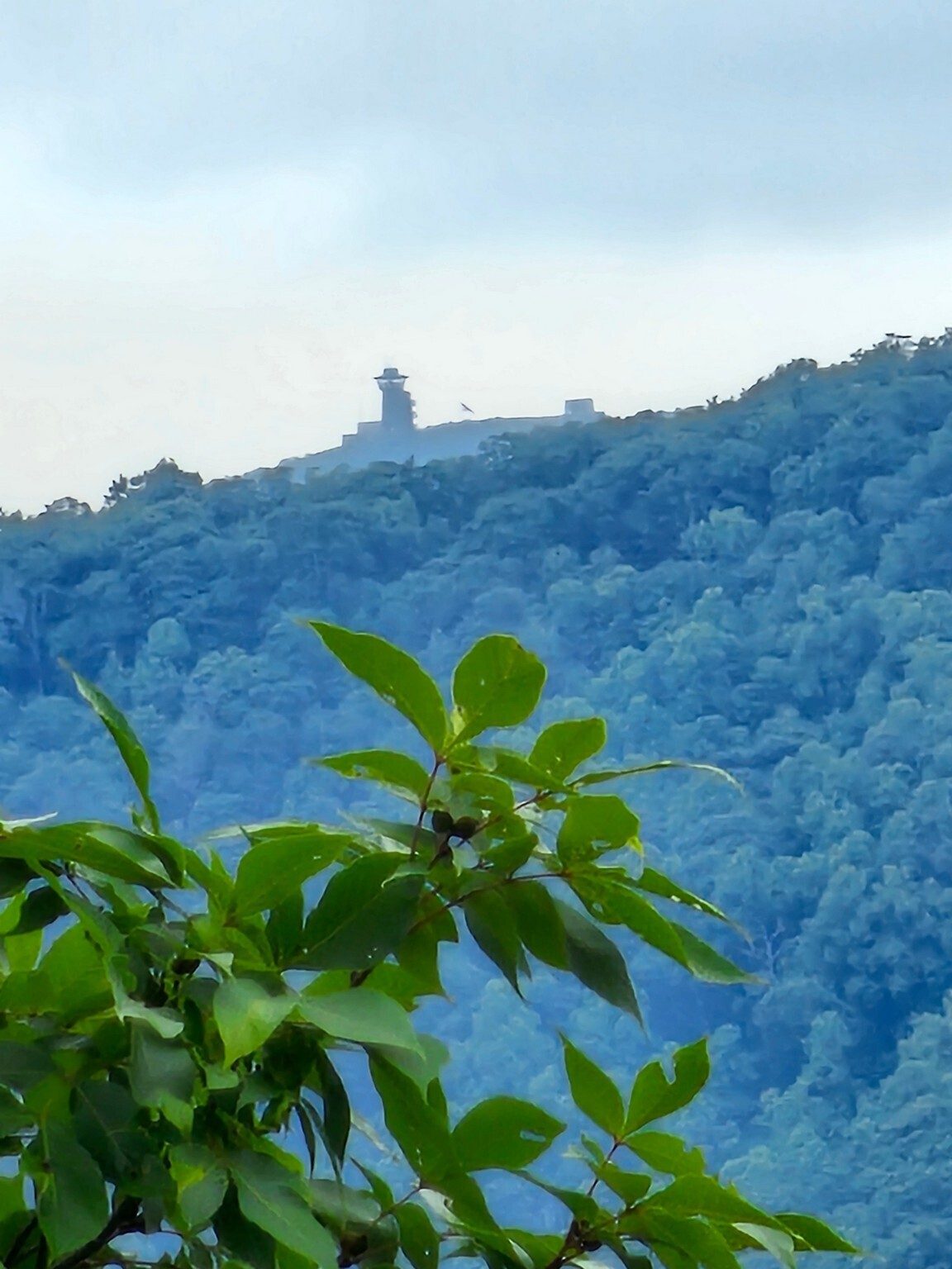 Yep.  There it is. (48.8 X zoom)