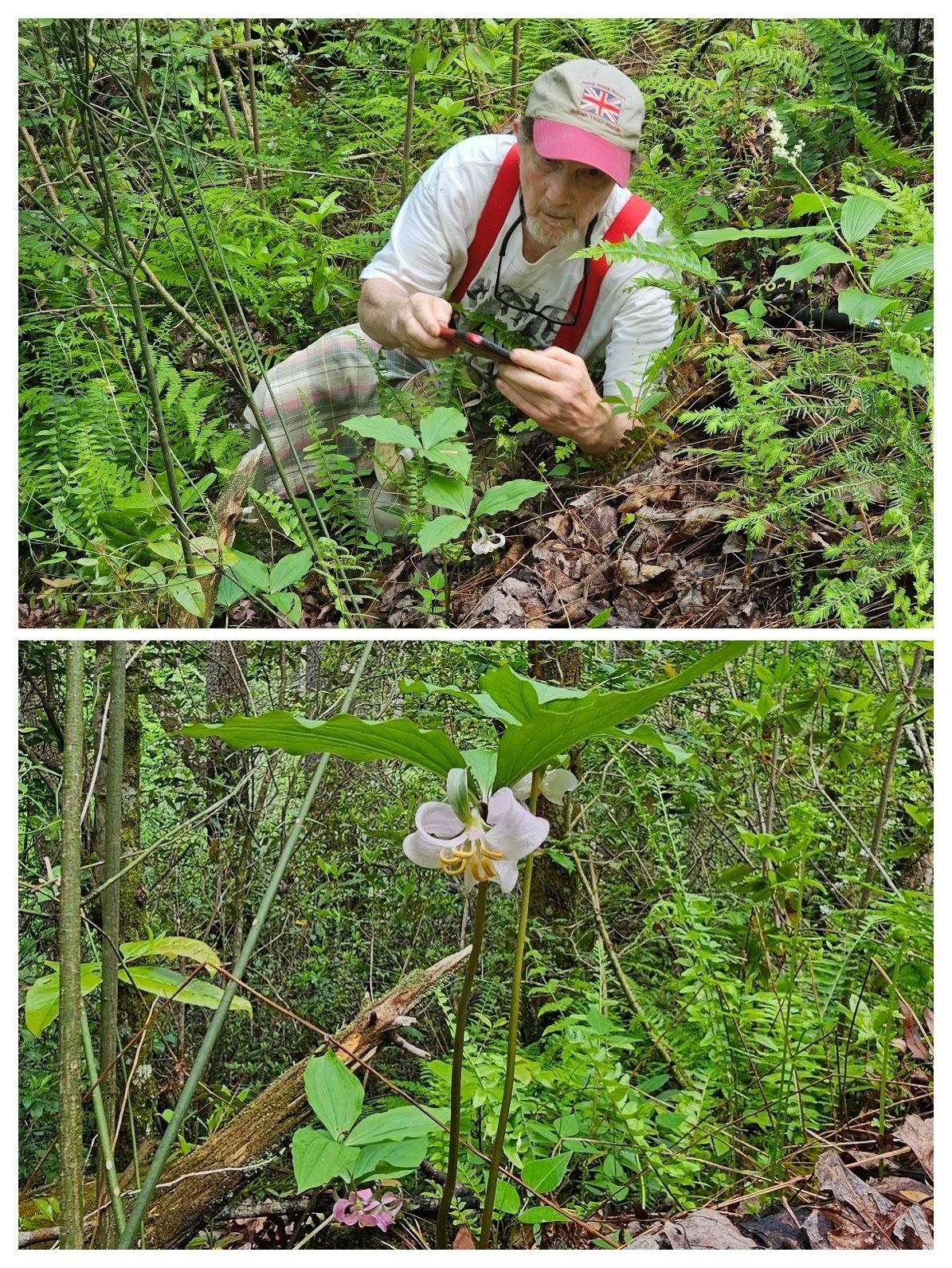 Bruce is serious about getting a good pic of this Nodding Trillium.