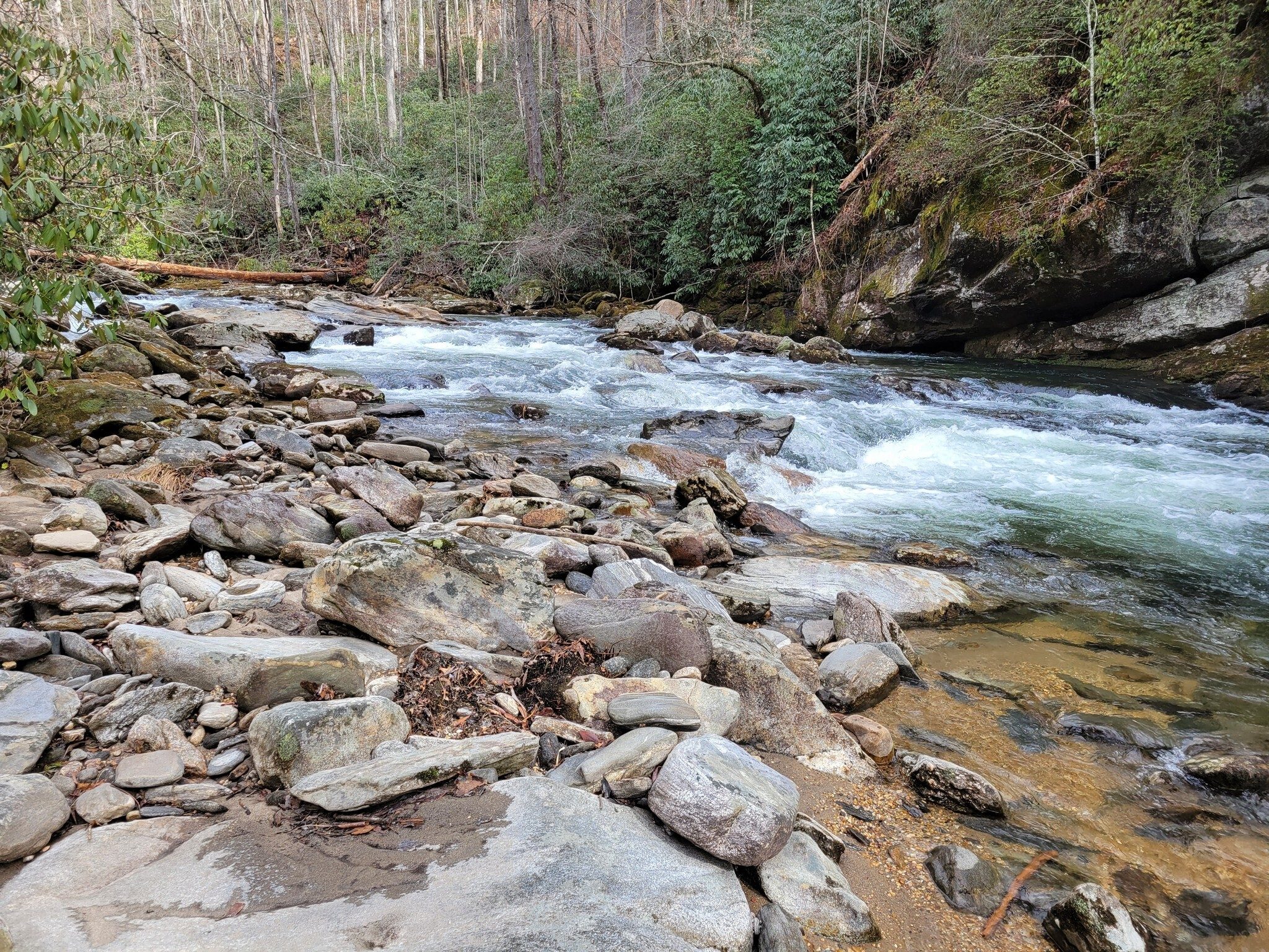 The "beach" along the West Fork of the Chattooga River just above the potholes