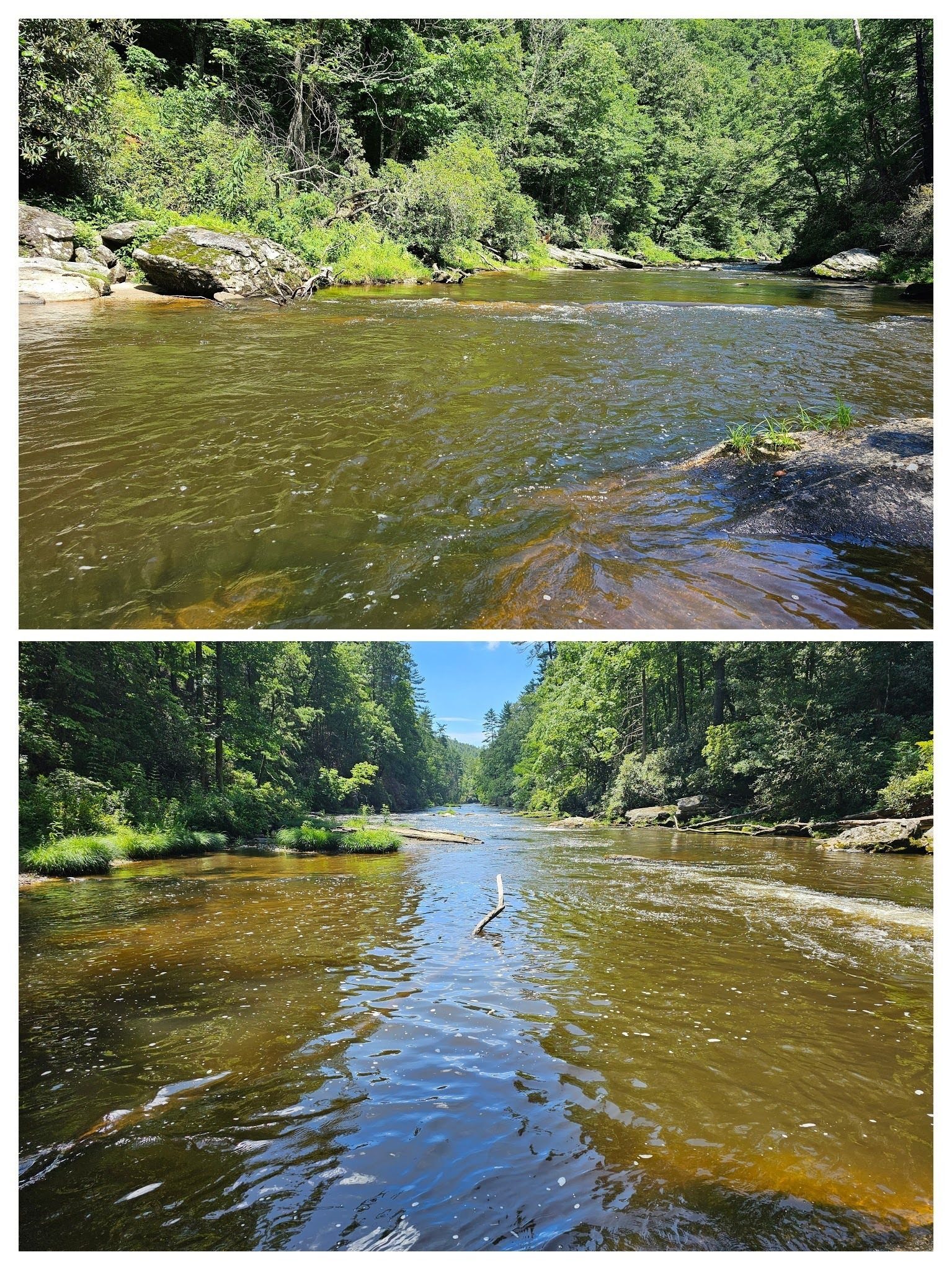 Up and down the Chattooga from our lunch spot.