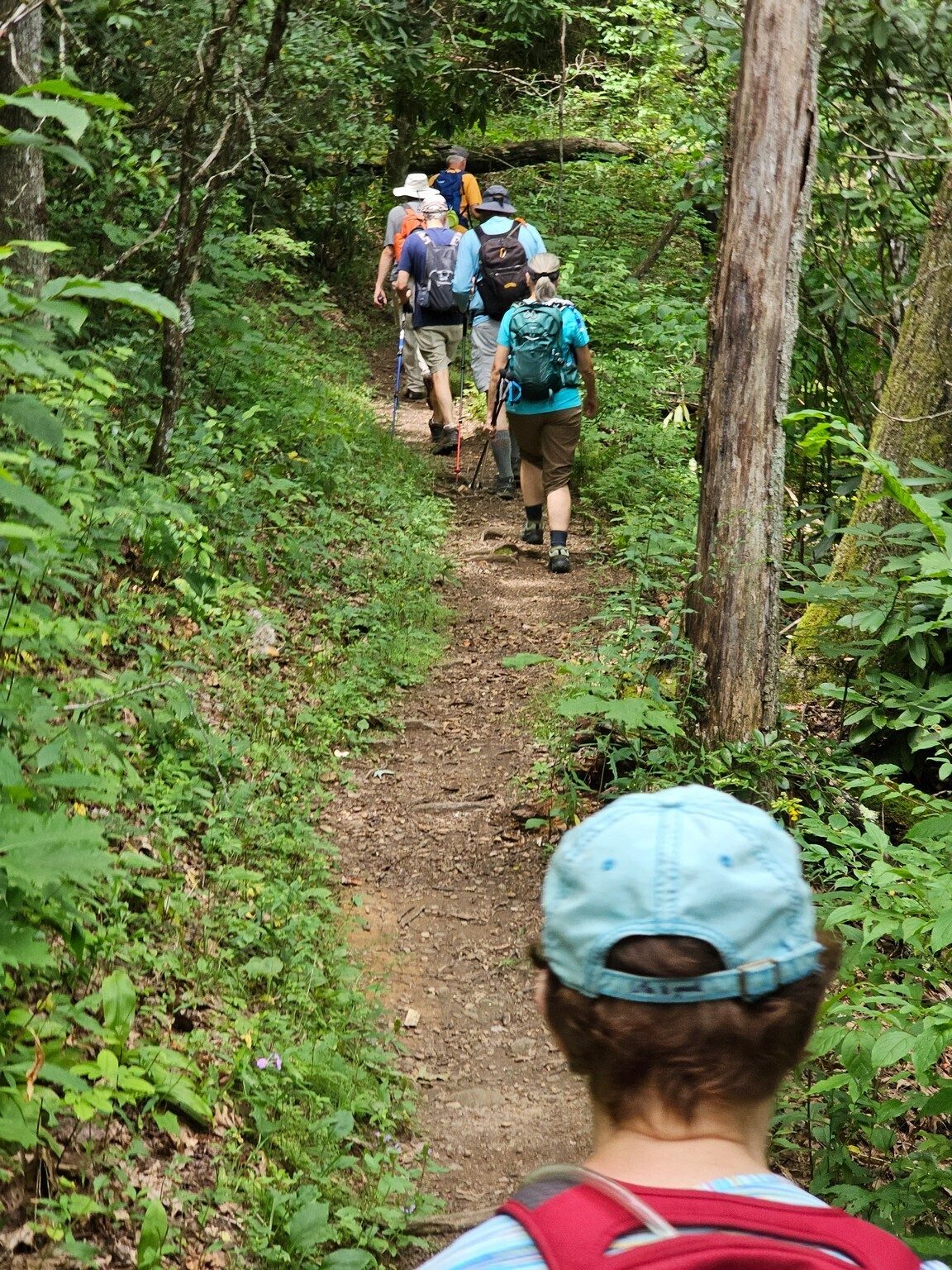 Headed up the AT again, the final leg of our loop.