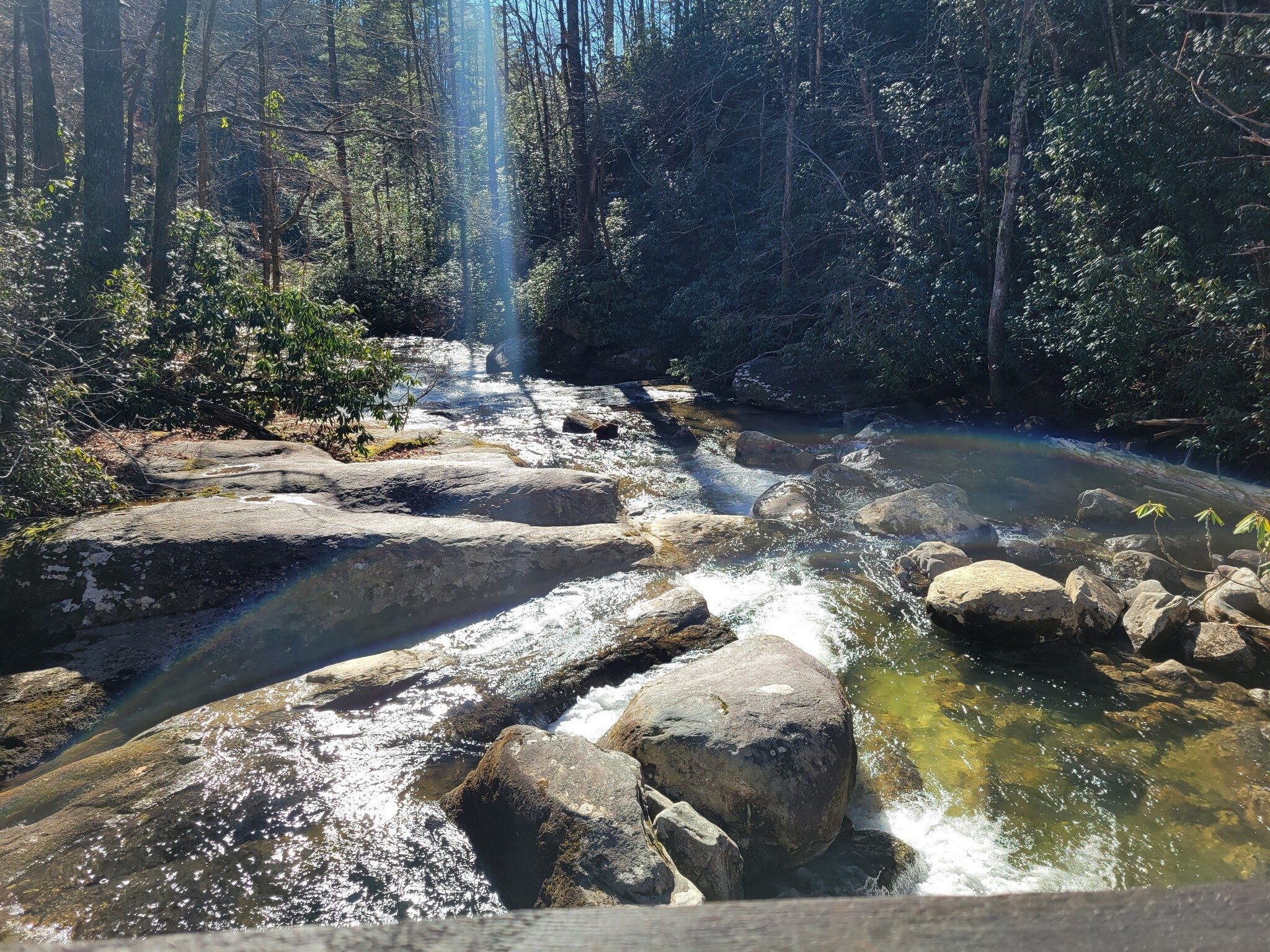 A final look downstream at the Thompson River.