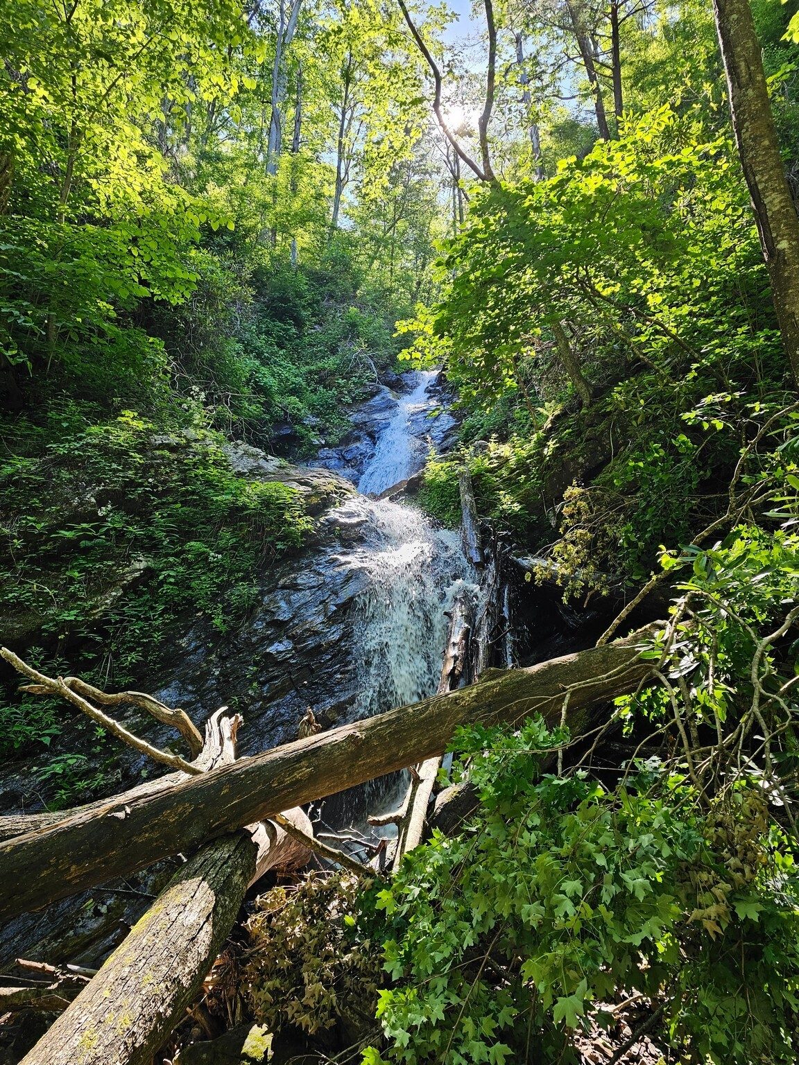 Bull Cove Falls from the piled blown down of trees at its base.  You've got to be careful in accessing this fall.