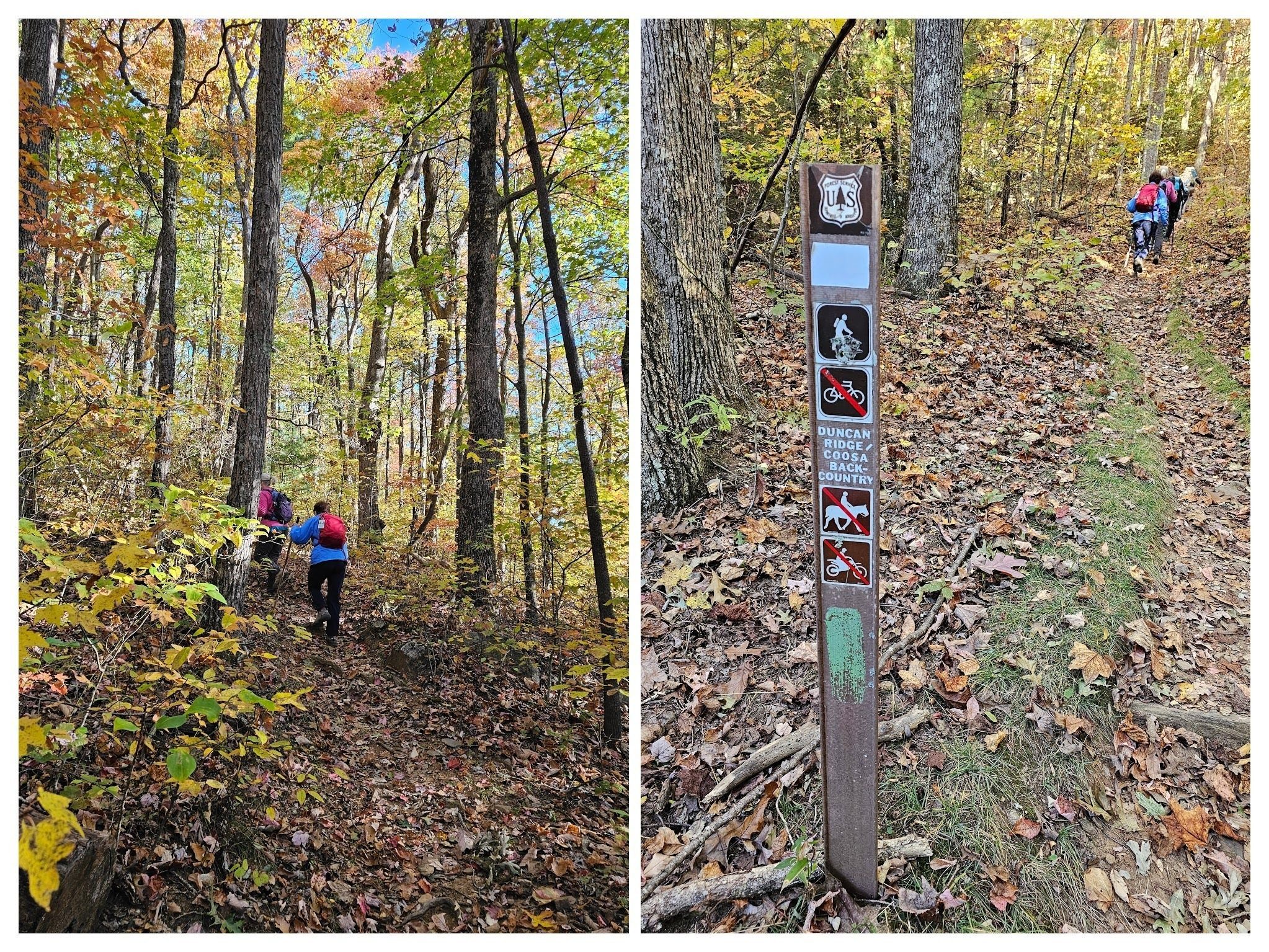 It's a 2-mile climb from here to Coosa Bald.