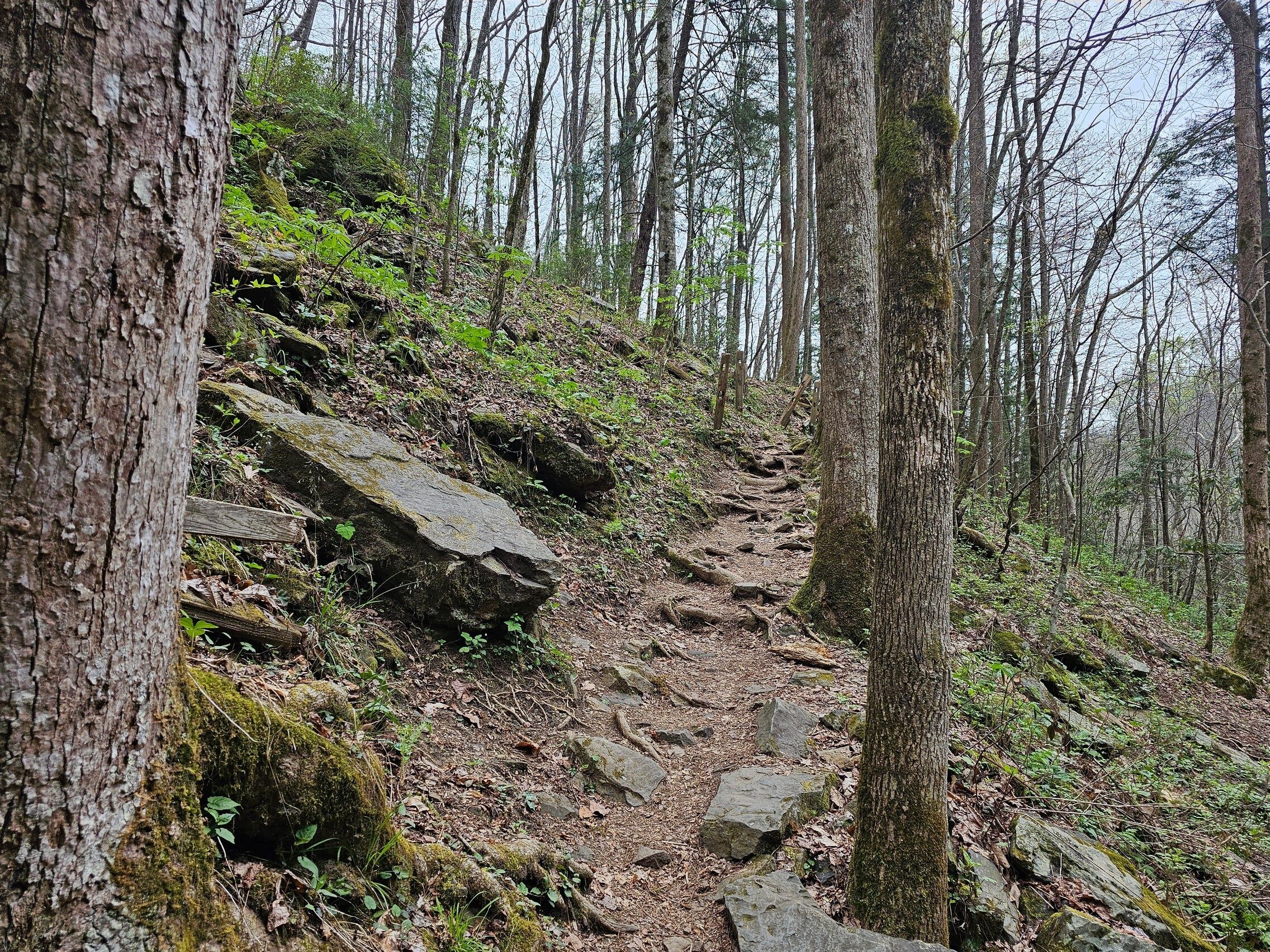 A foretelling of the rocky hike up Hickory Nut Mountain.