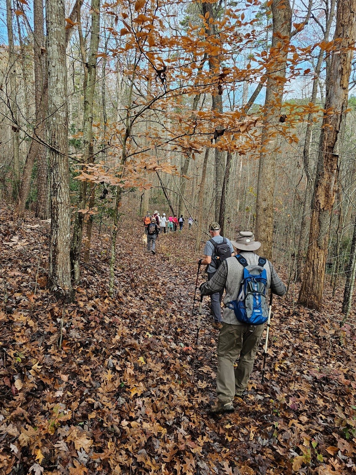 A continuing "easy on the feet" trail.