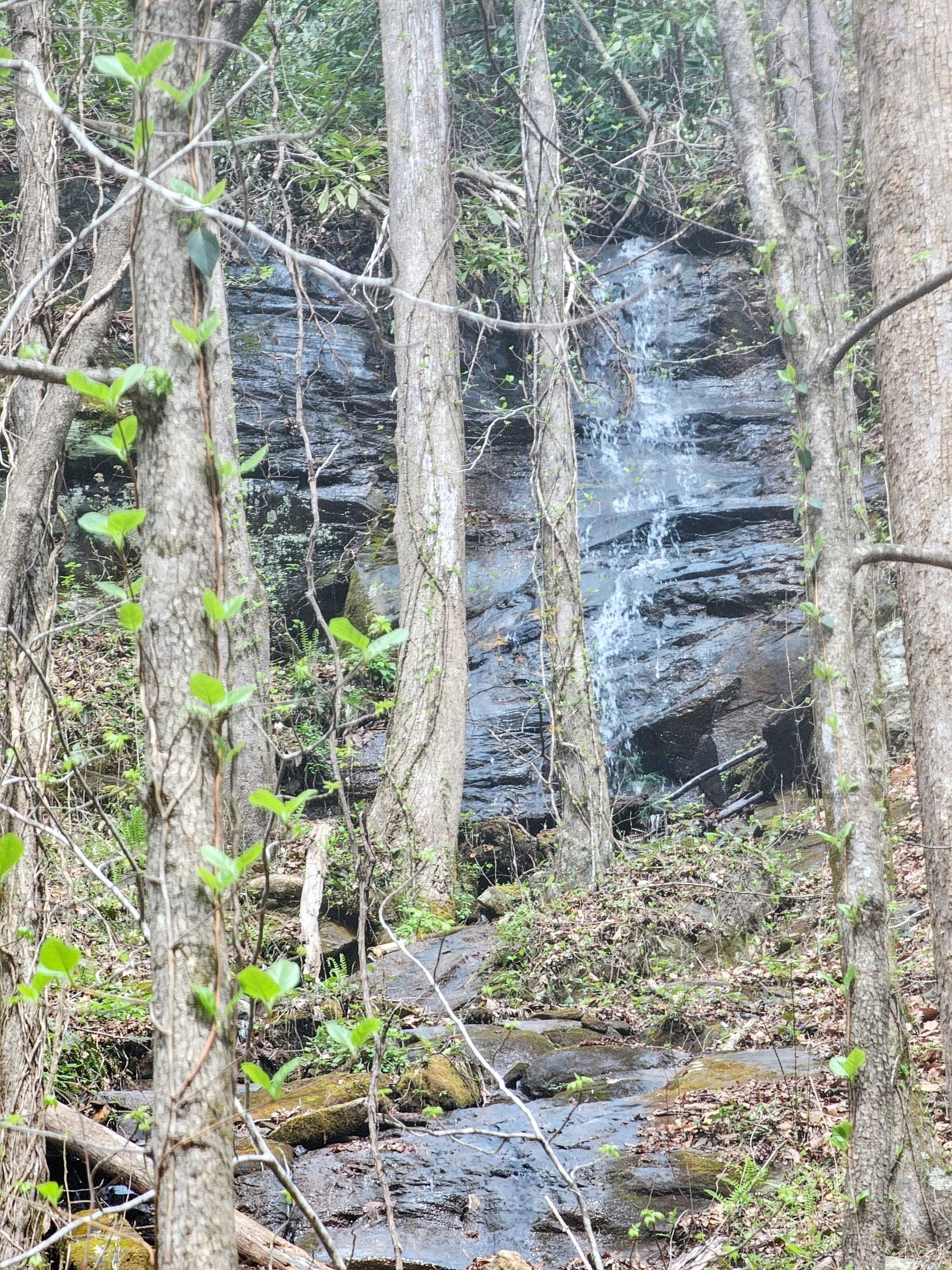 A nice cascade back up into the woods as we returned.