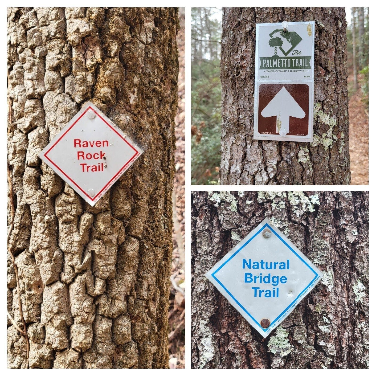 This hike included sections of these trails