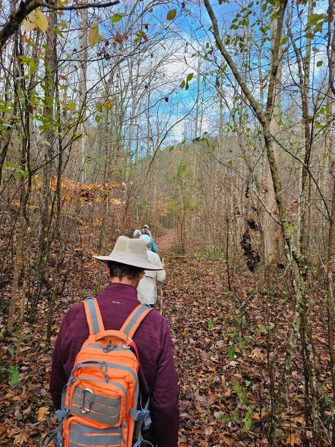 Nice trail.  . . .  looking good so far.