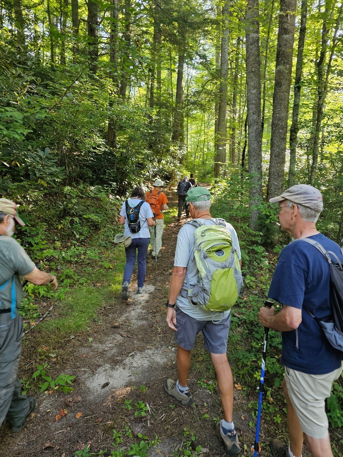 The Skitty Creek Trail from US Hwy 64 is fairly steep, but in good condition.
