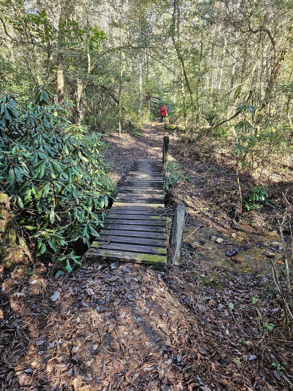 One of several short bridges on the Bartram Trail that survived Hurricane Helene.