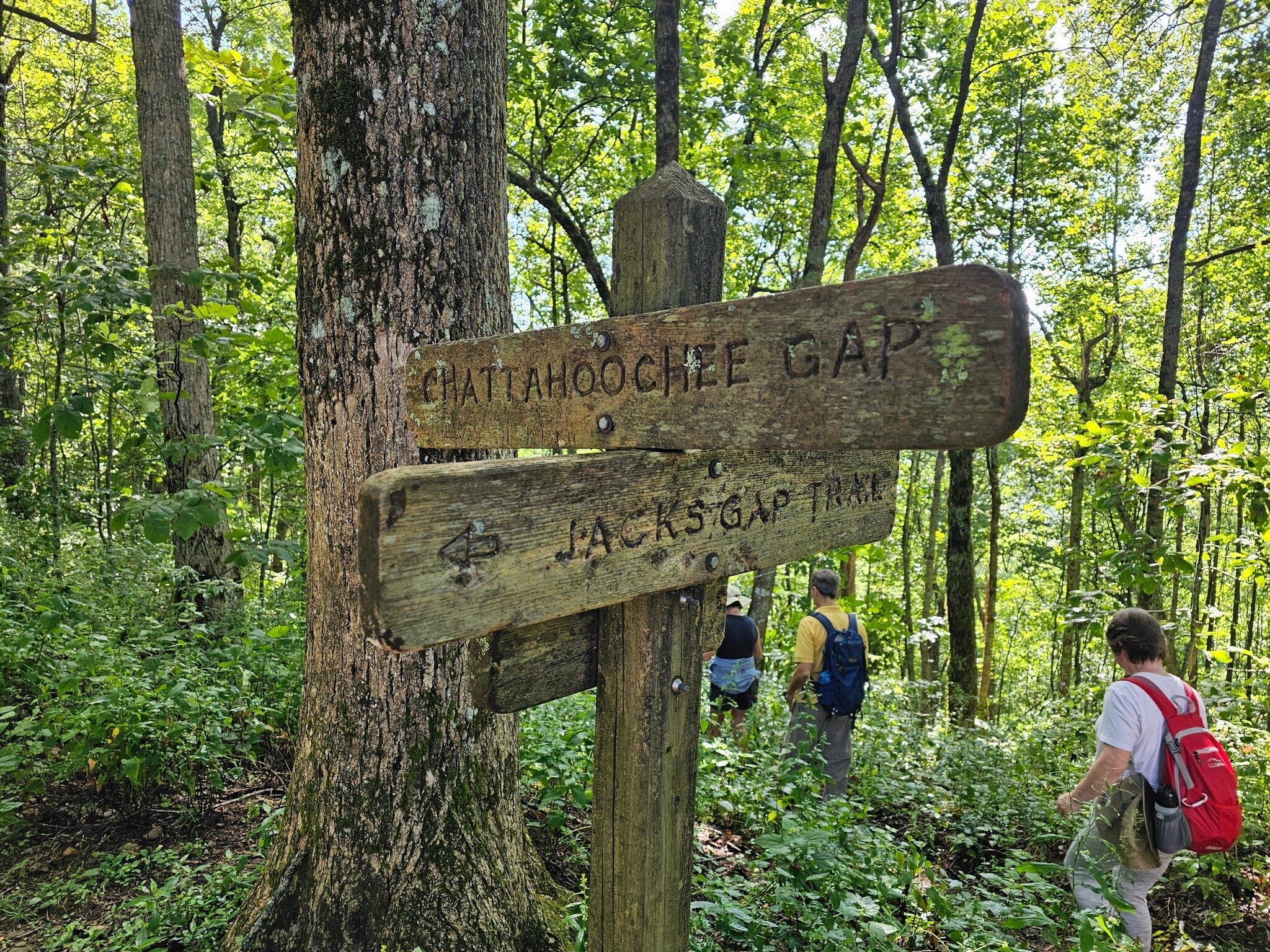Just a short walk down to the Chattahoochee headwaters from this intersection on the AT.